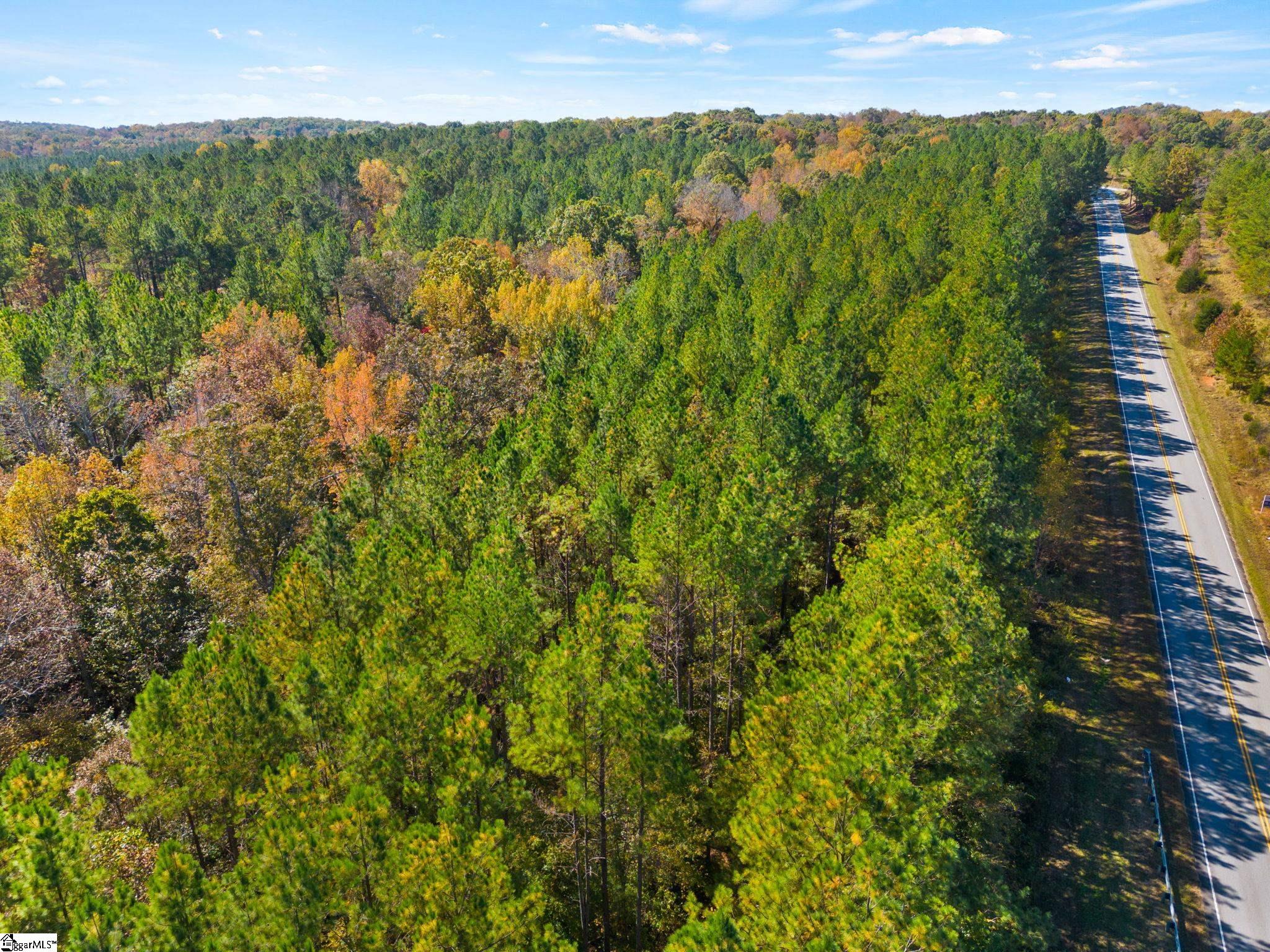 0 Ekom Beach Road Laurens, SC 29360 - Photo 24 of 31