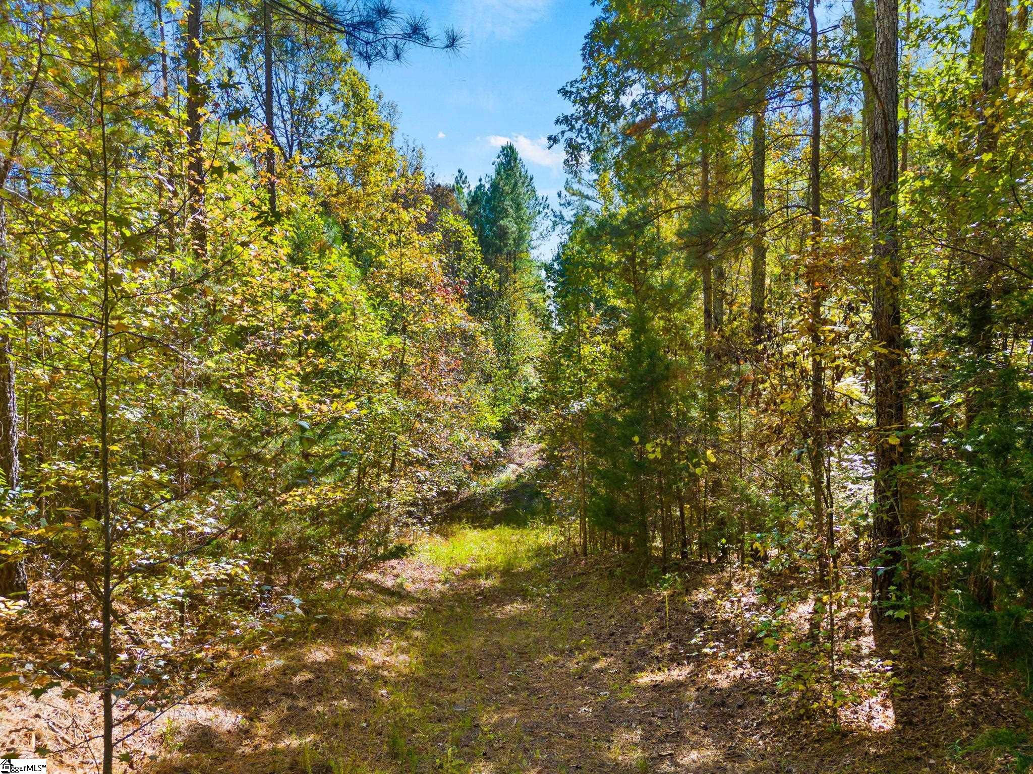 0 Ekom Beach Road Laurens, SC 29360 - Photo 25 of 31