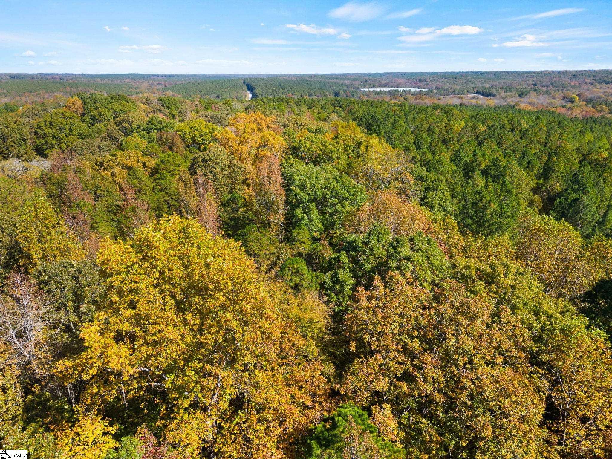 0 Ekom Beach Road Laurens, SC 29360 - Photo 27 of 31