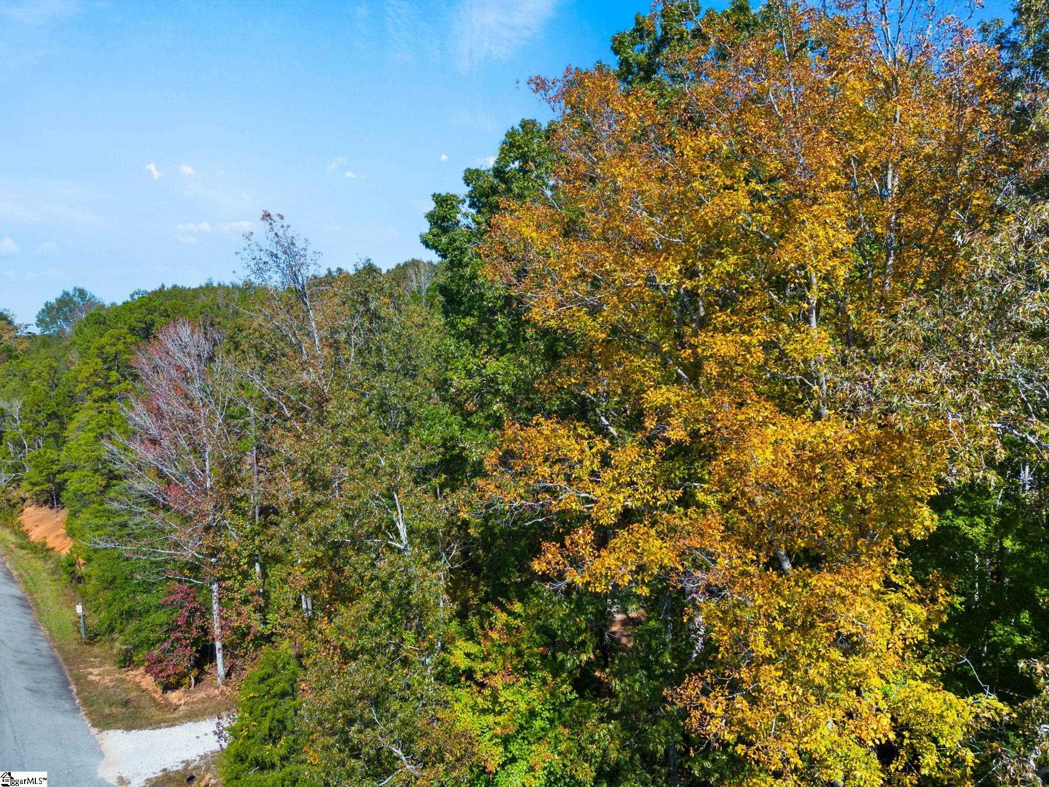 0 Ekom Beach Road Laurens, SC 29360 - Photo 29 of 31