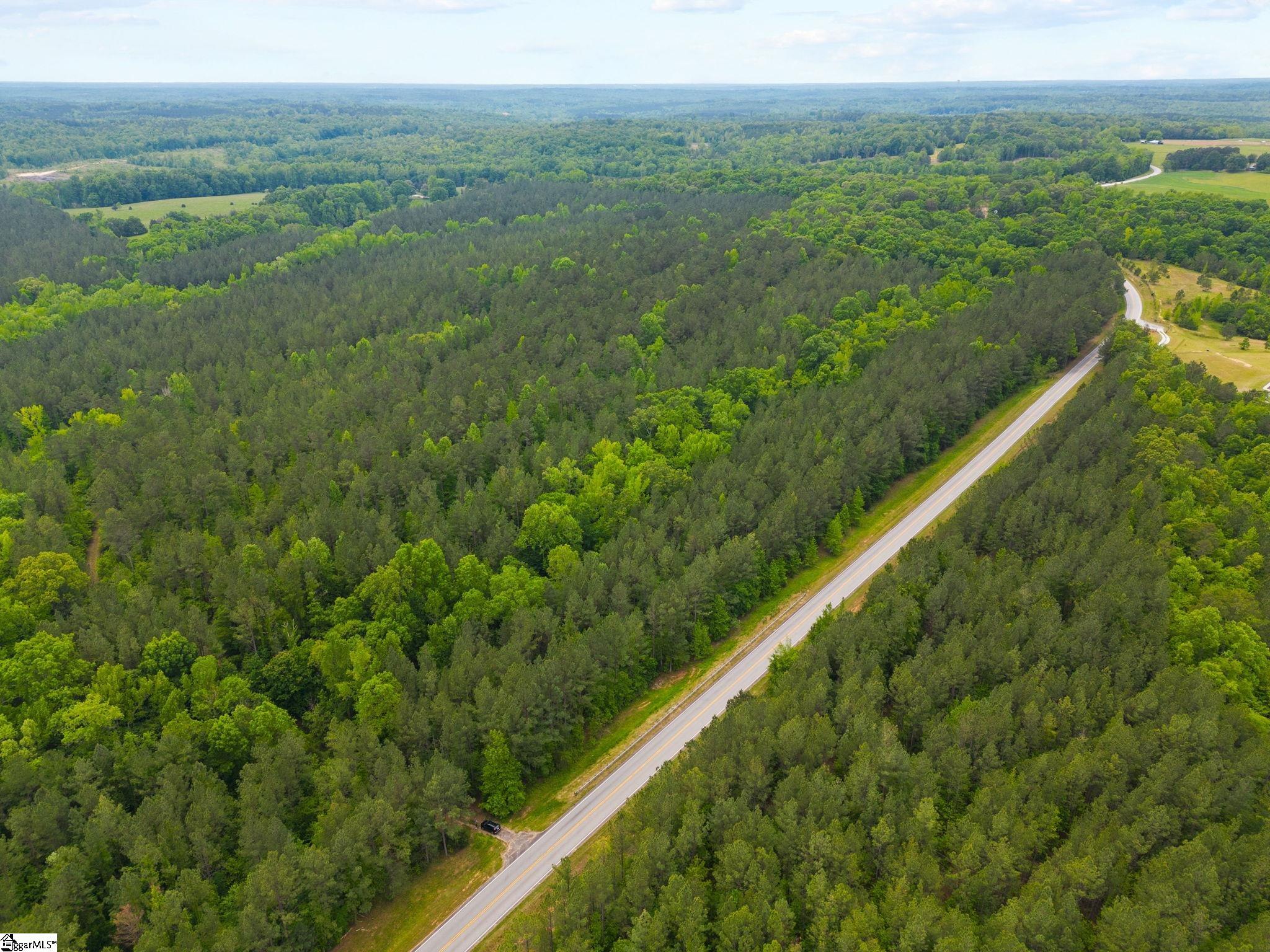 0 Ekom Beach Road Laurens, SC 29360 - Photo 3 of 31