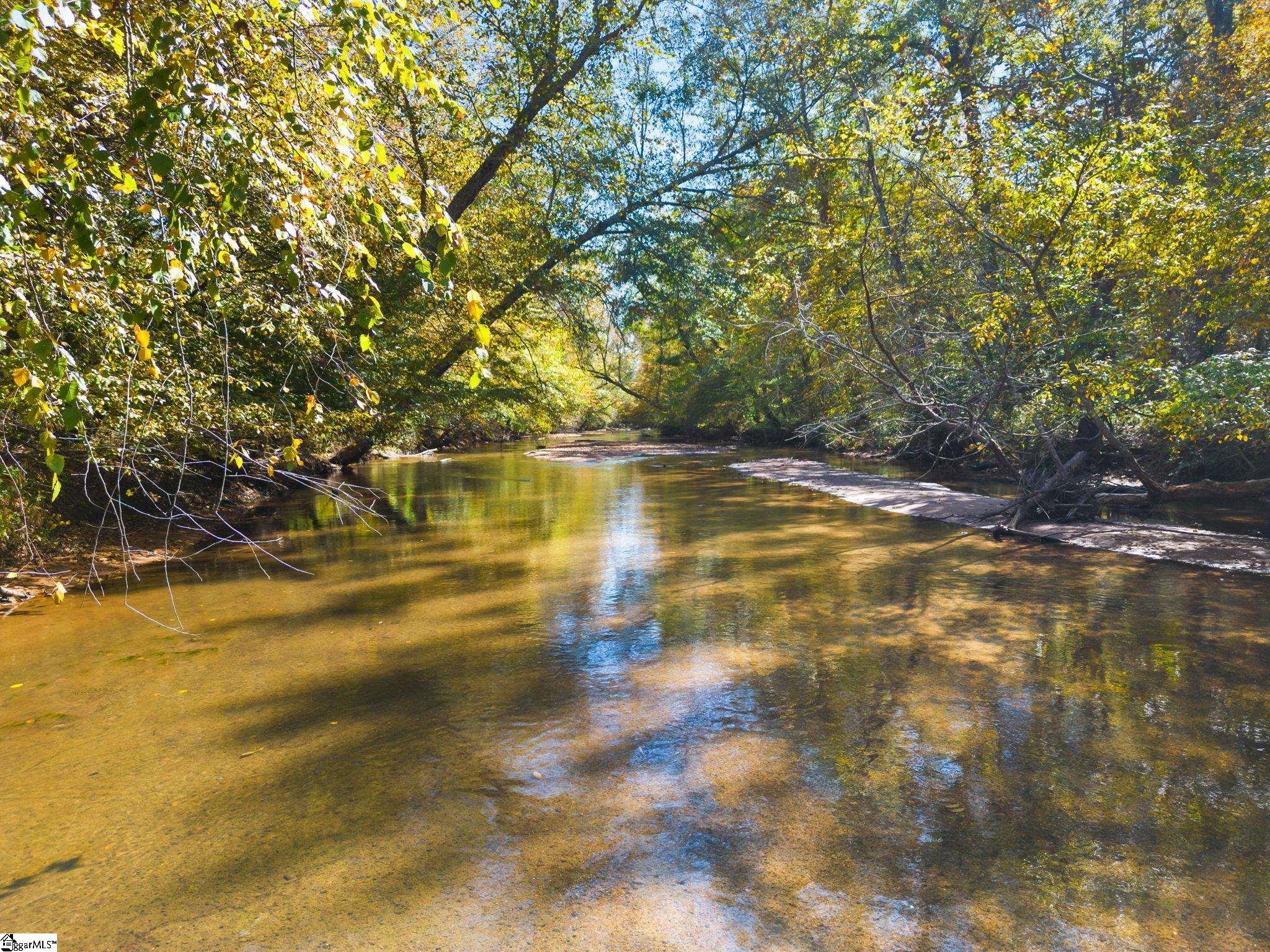 0 Ekom Beach Road Laurens, SC 29360 - Photo 31 of 31