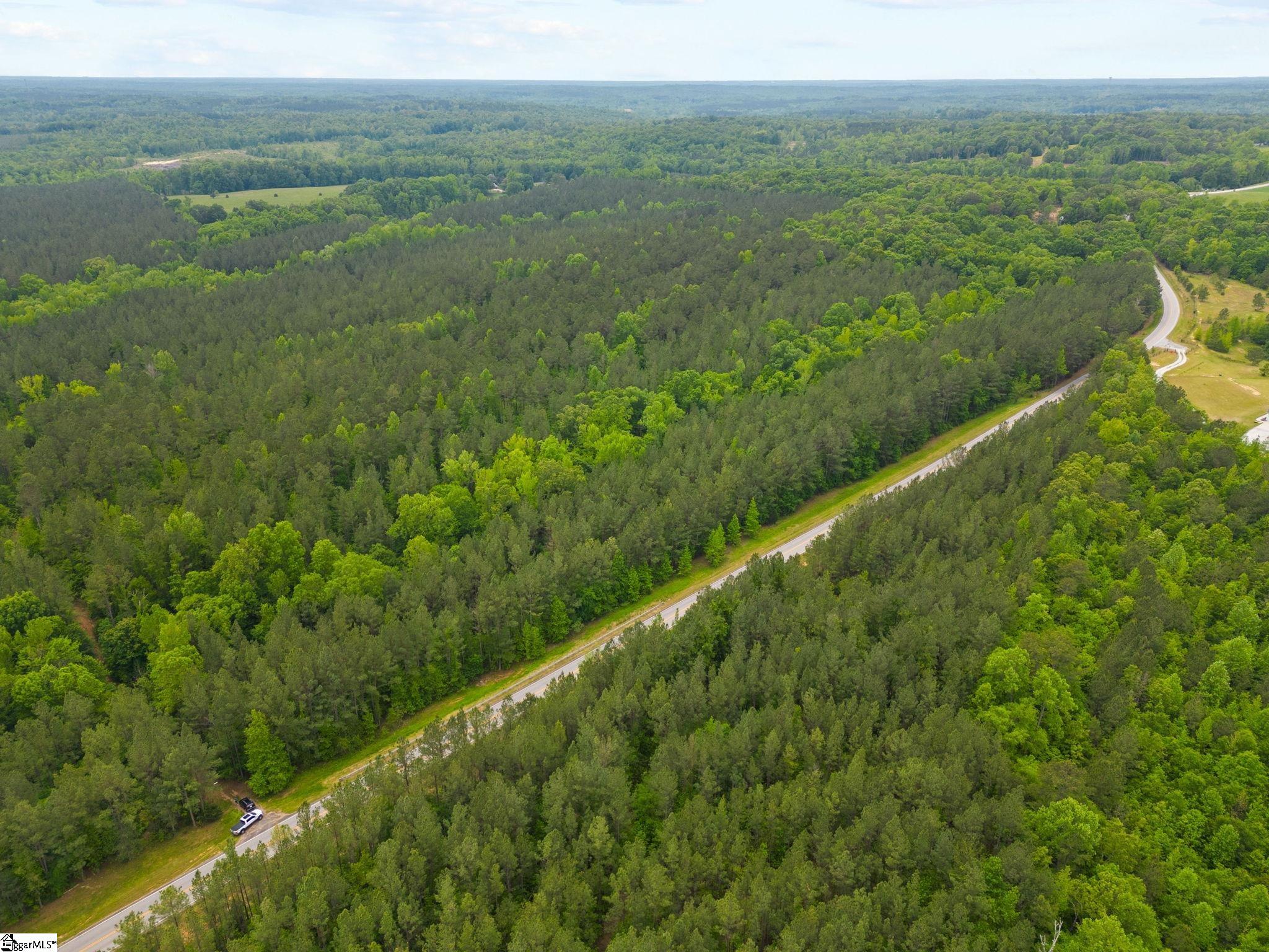0 Ekom Beach Road Laurens, SC 29360 - Photo 4 of 31