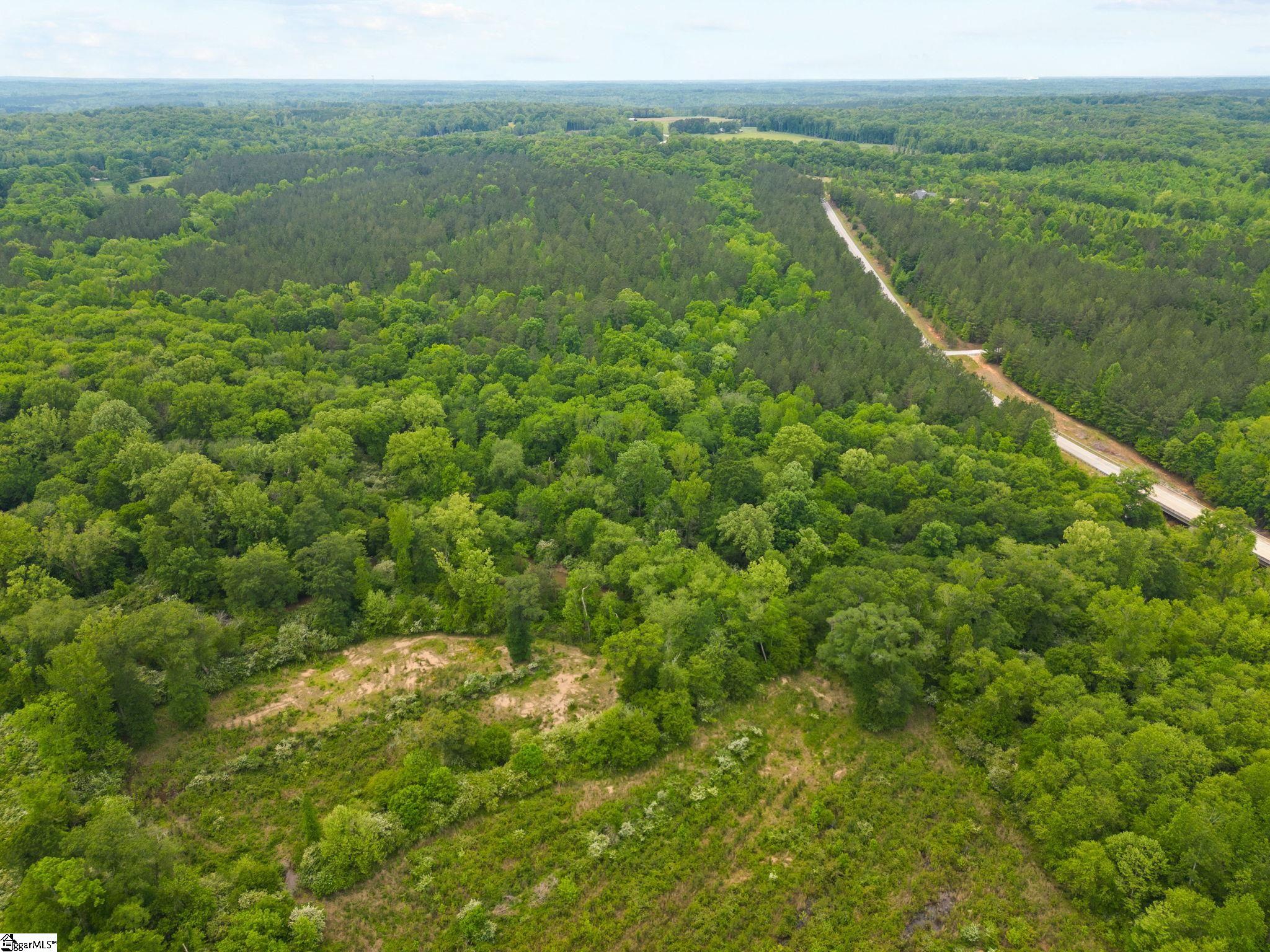 0 Ekom Beach Road Laurens, SC 29360 - Photo 5 of 31