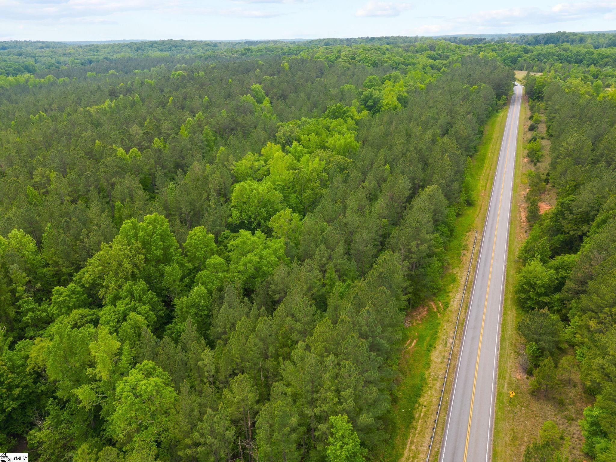 0 Ekom Beach Road Laurens, SC 29360 - Photo 6 of 31