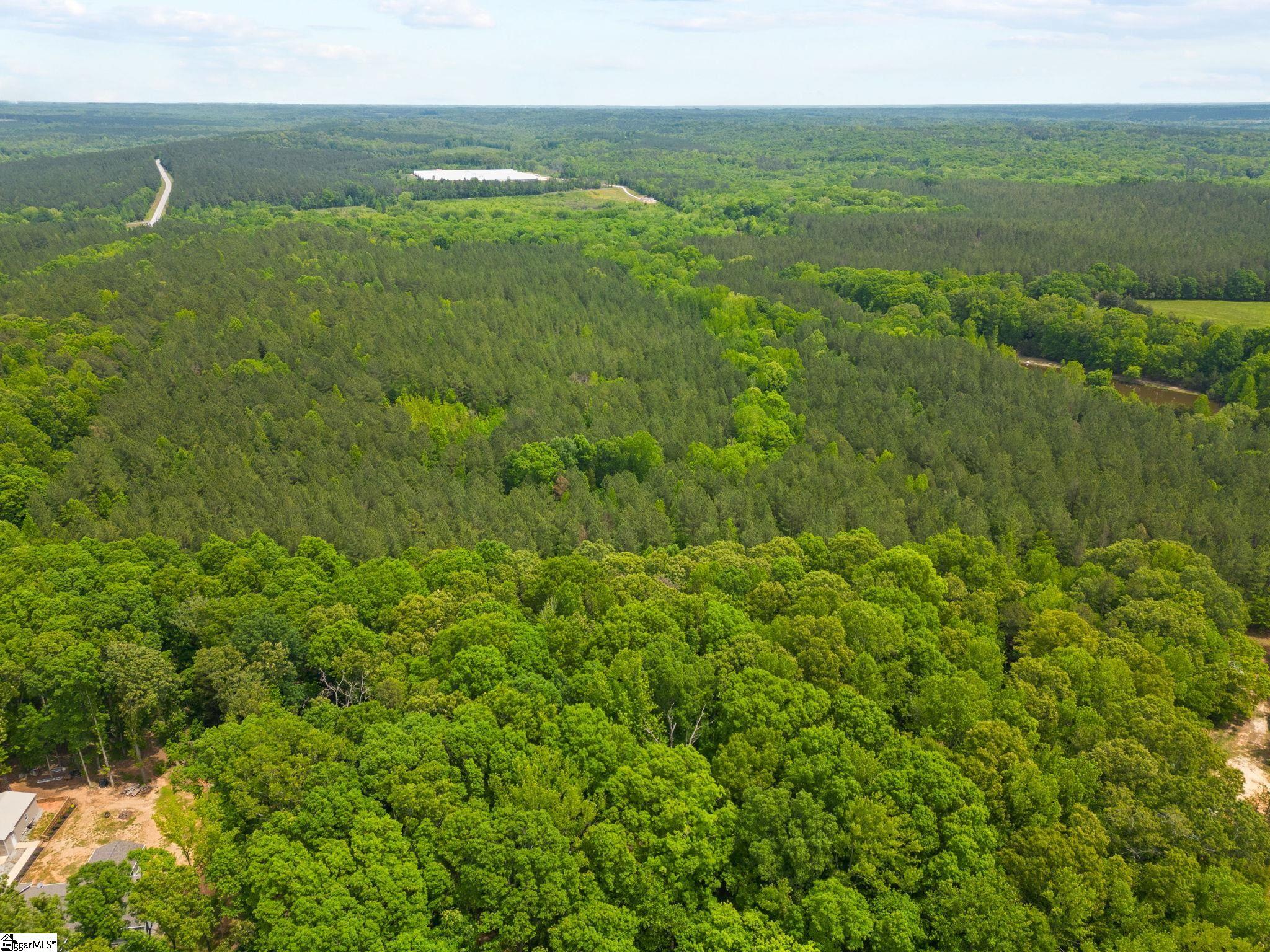 0 Ekom Beach Road Laurens, SC 29360 - Photo 7 of 31