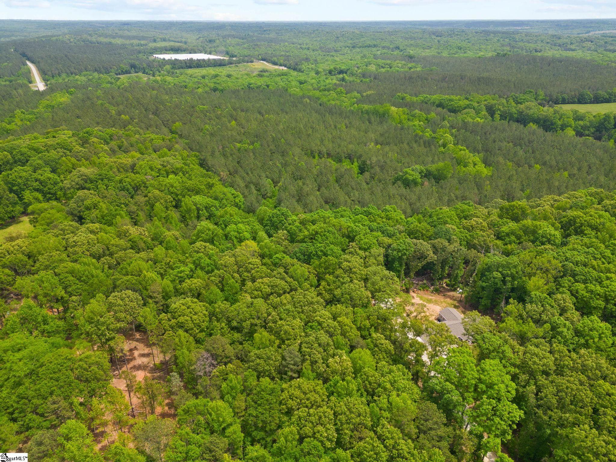 0 Ekom Beach Road Laurens, SC 29360 - Photo 8 of 31