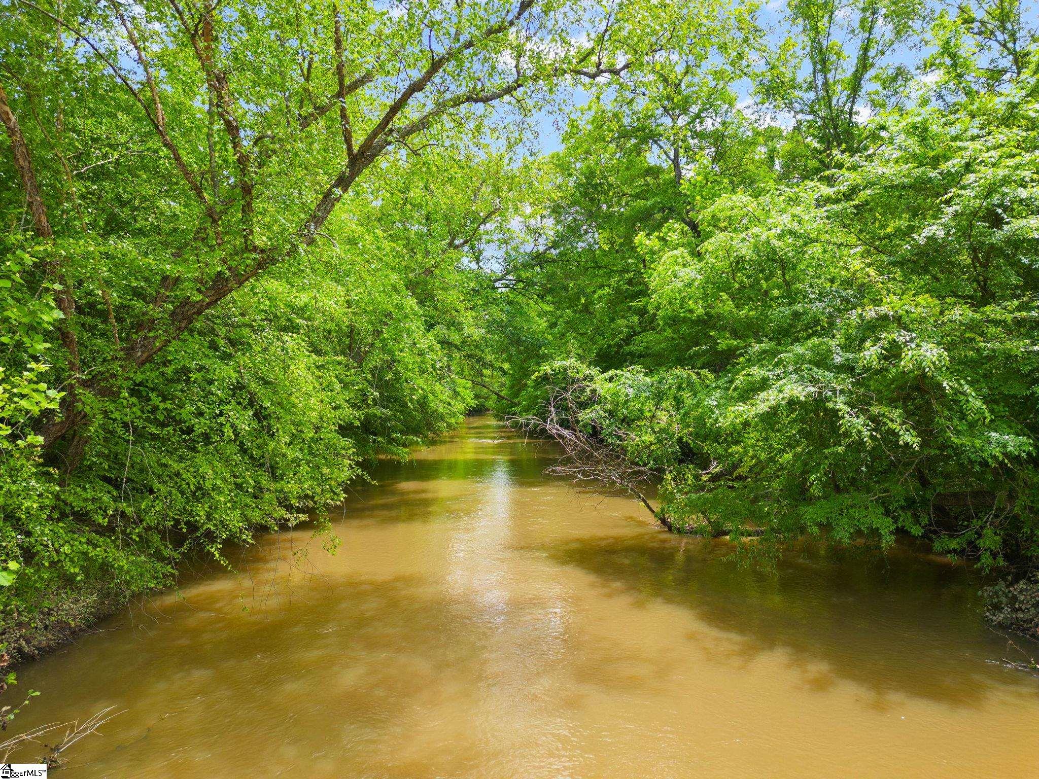 0 Ekom Beach Road Laurens, SC 29360 - Photo 9 of 31