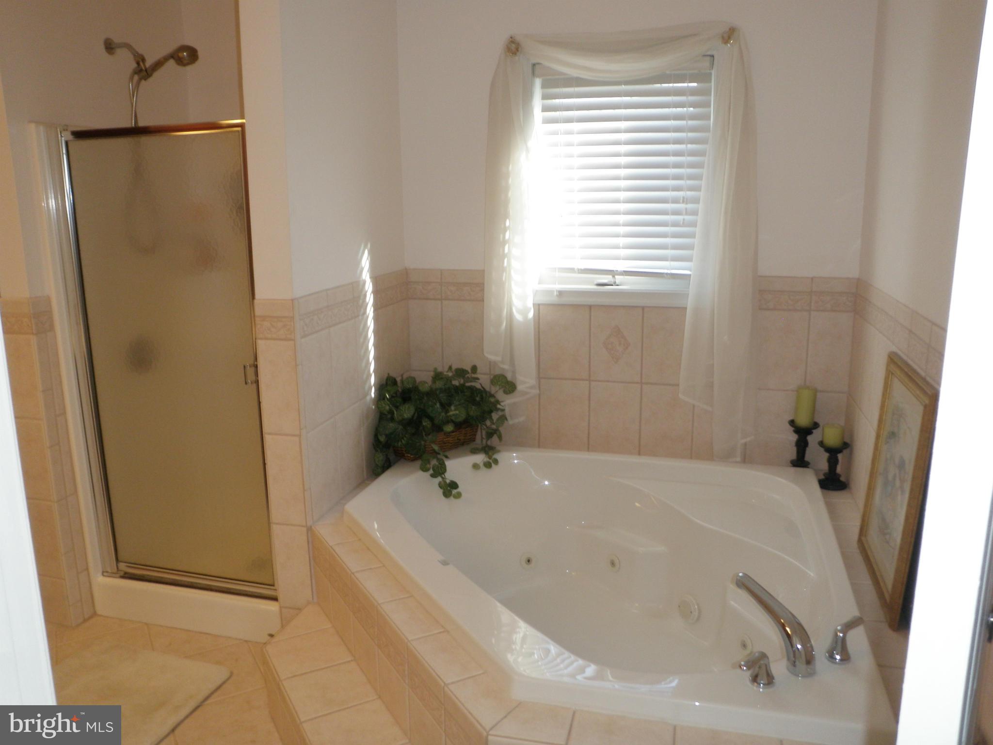 236 Twin Beach Road Pasadena, MD 21122 - Photo 22 of 30 Bath (Master)