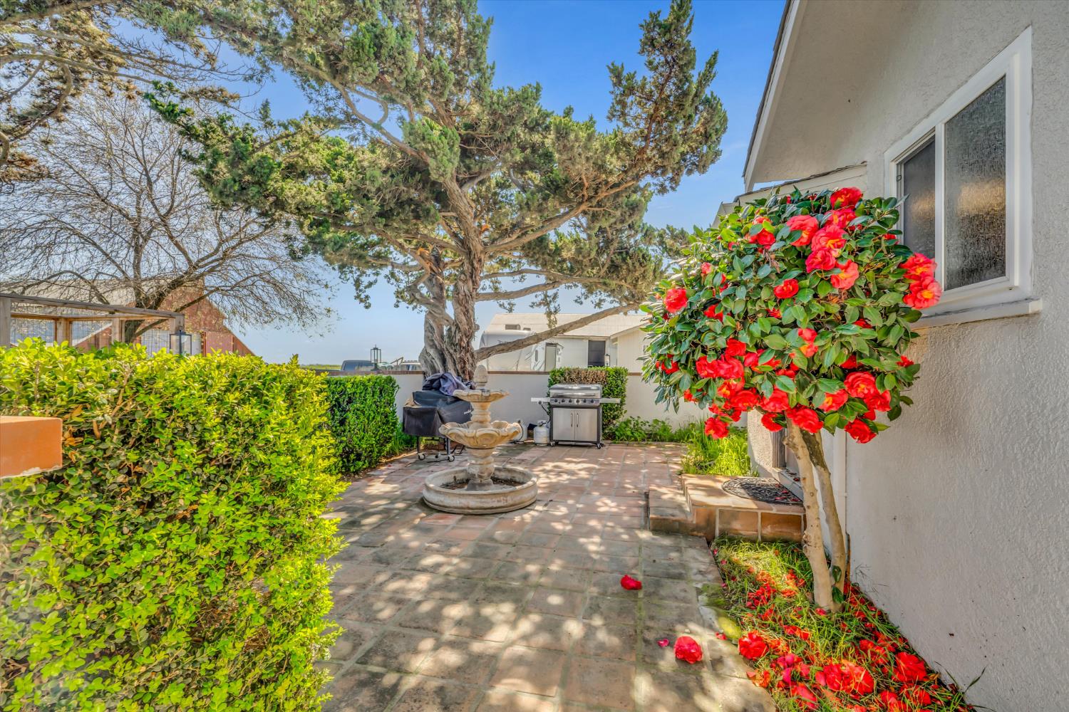 6450 Delta Avenue Tracy, CA 95304 - Photo 33 of 49 a front view of a house with yard and flowers