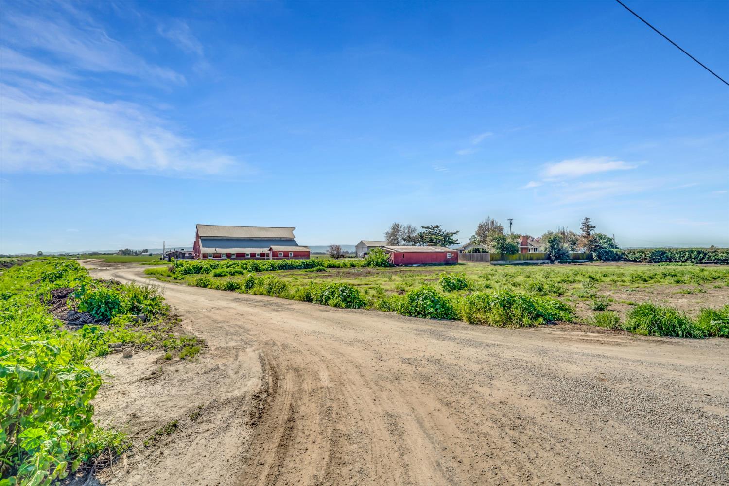 6450 Delta Avenue Tracy, CA 95304 - Photo 41 of 49 a view of a road with a big yard and large trees