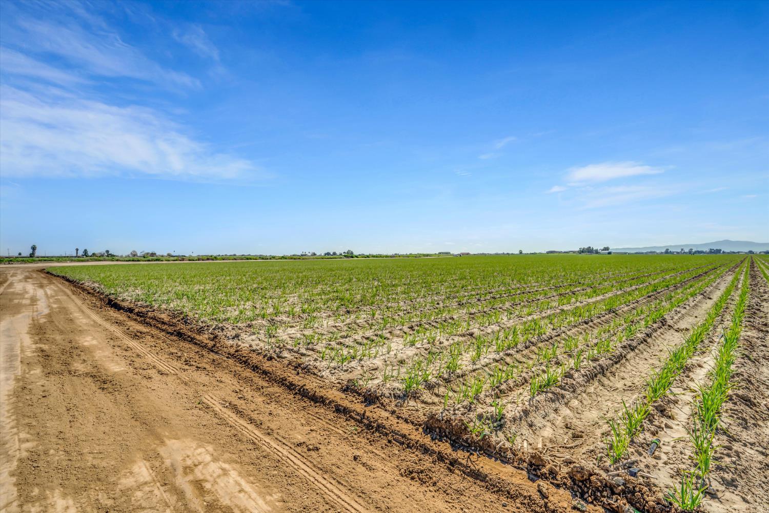 6450 Delta Avenue Tracy, CA 95304 - Photo 44 of 49 a view of an ocean