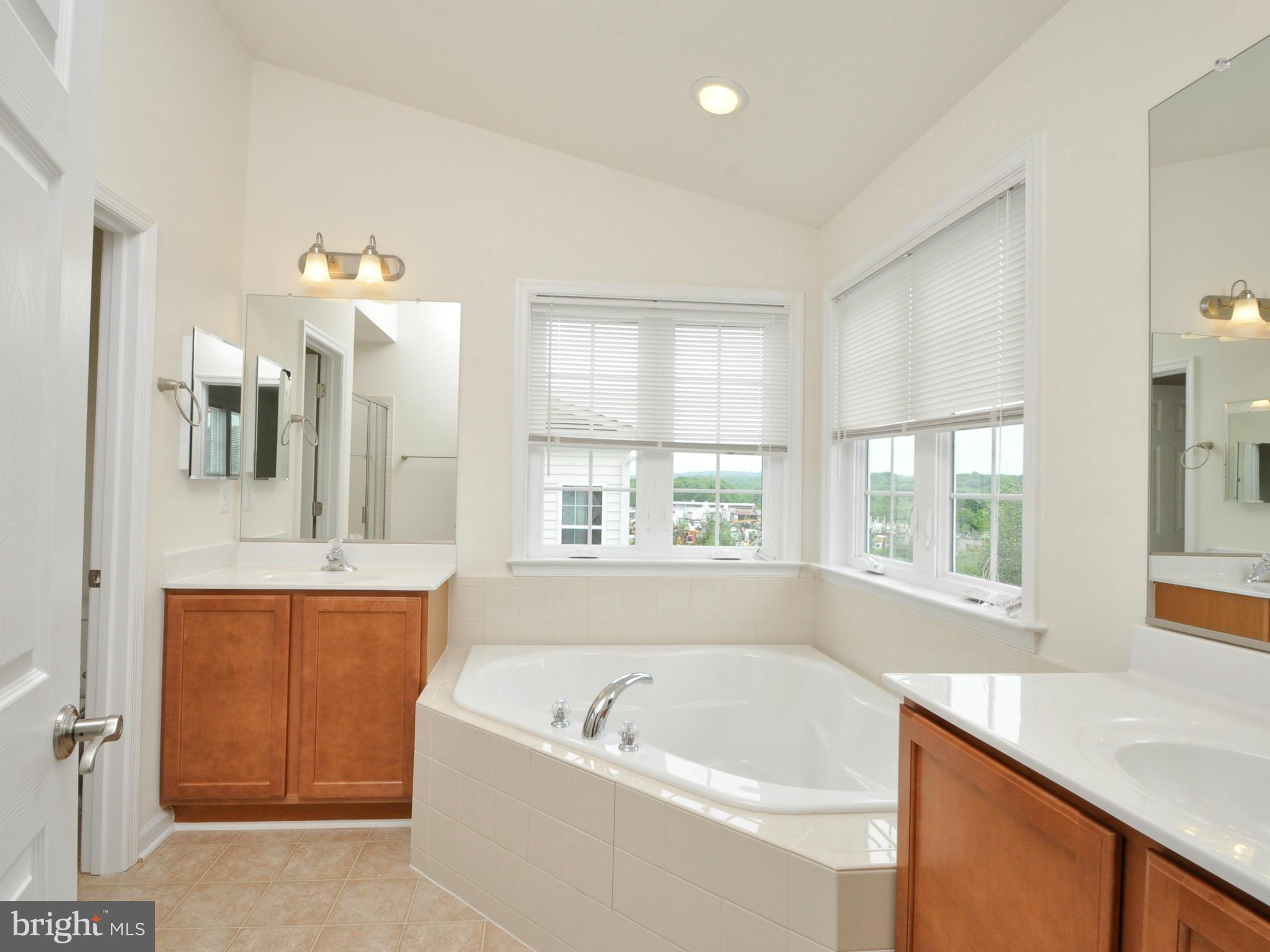 17684 Possum Point Road Dumfries, VA 22026 - Photo 16 of 26 Bath (Master)