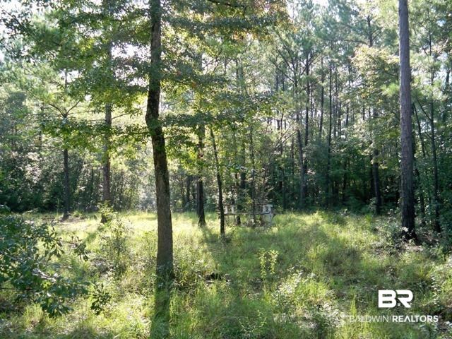 0 Lott Road Citronelle, AL 36522 - Photo 8 of 10