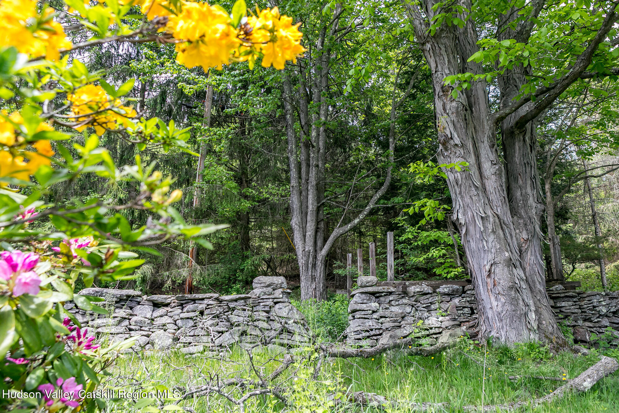 222 Upper Gorge View Lane Roxbury, NY 12474 - Photo 3 of 43 UpperGorgeView-5