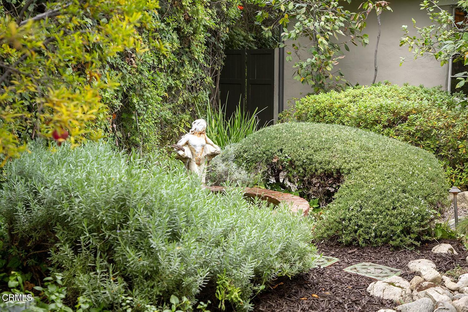 1126 Wotkyns Drive Pasadena, CA 91103 - Photo 20 of 31 a plant that is in a garden