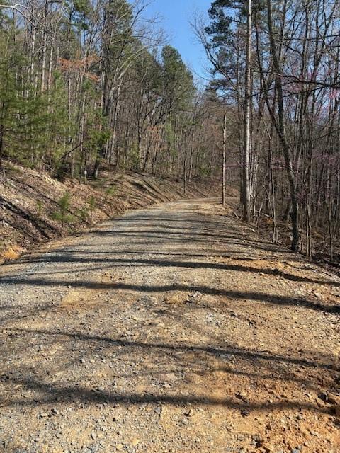 a view of a backyard of a house