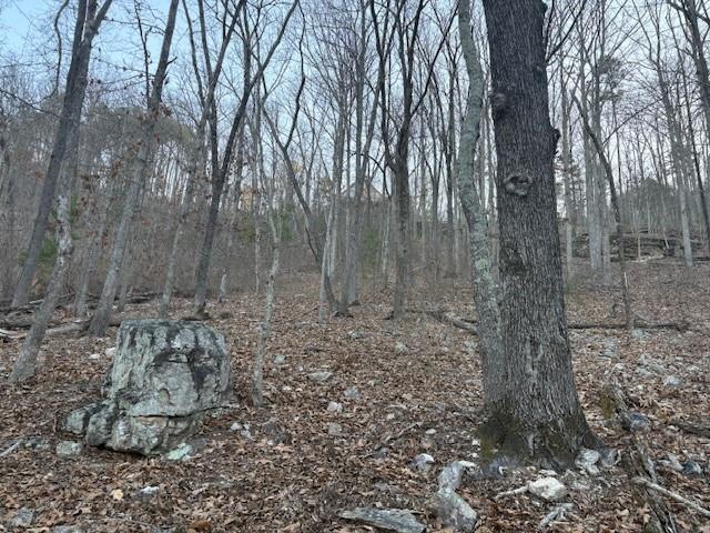 1135 Embry Court Ranger, GA 30734 - Photo 2 of 8 a view of a yard with large trees