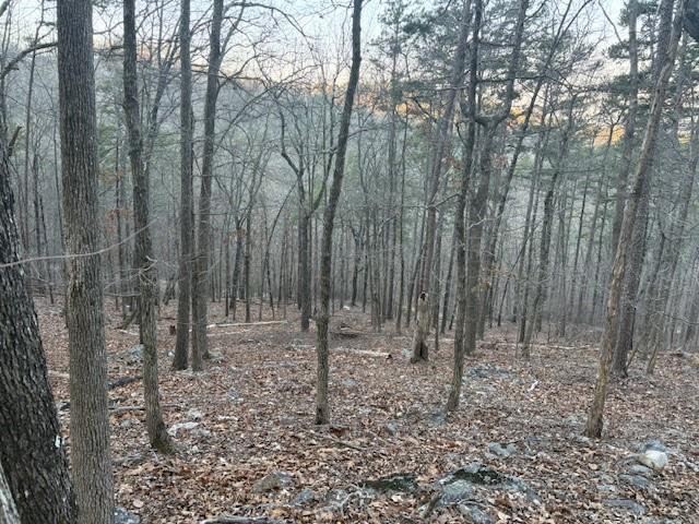 1135 Embry Court Ranger, GA 30734 - Photo 4 of 8 a backyard of a house with lots of green space