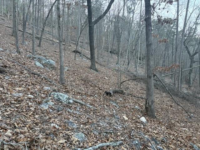 1135 Embry Court Ranger, GA 30734 - Photo 5 of 8 a view of a yard with trees