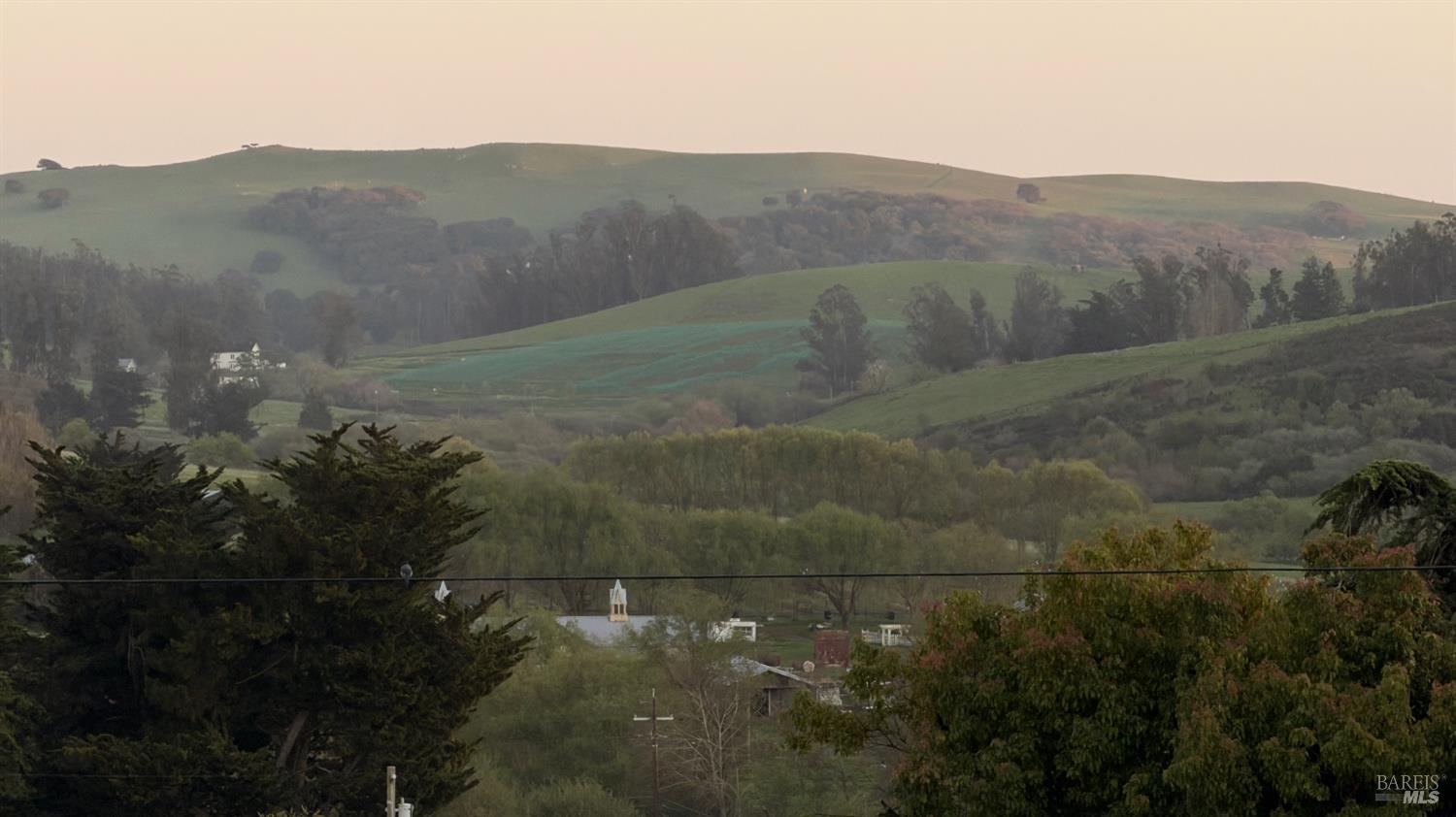 2693 Bloomfield Road Sebastopol, CA 95472 - Photo 16 of 61 a view of a dry yard with mountains in the background