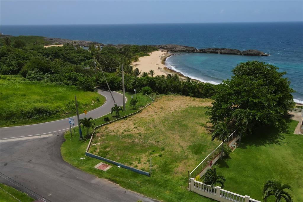 1 Moncho Diaz Manati, PR 00674 - Photo 1 of 1 an aerial view of a residential houses with outdoor space and trees all around