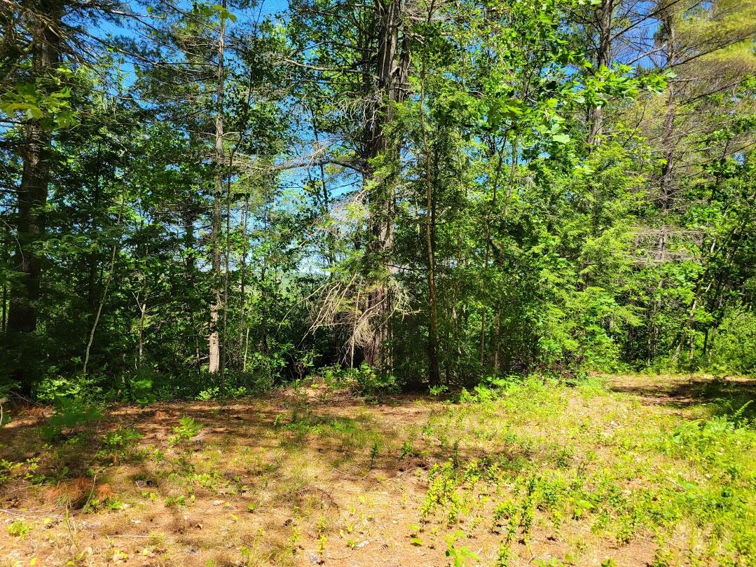 231 Flat Ground Road Acton, ME 04001 - Photo 1 of 27 20210617_112101