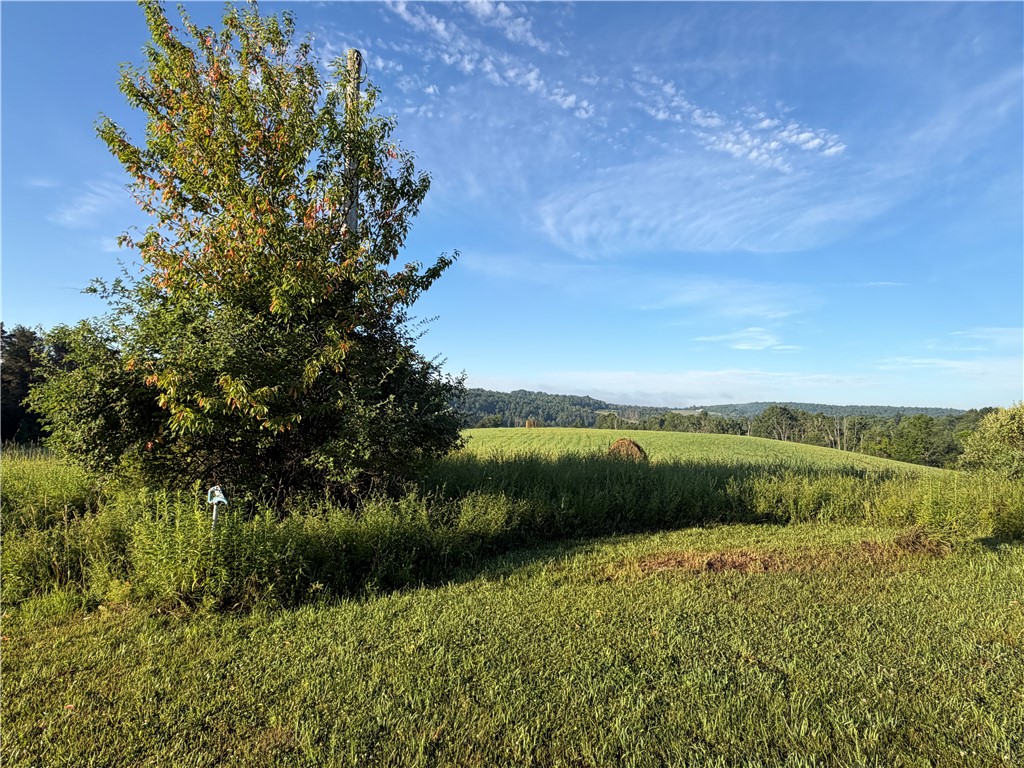 5153 County Rte 10A Cameron, NY 14819 - Photo 12 of 50