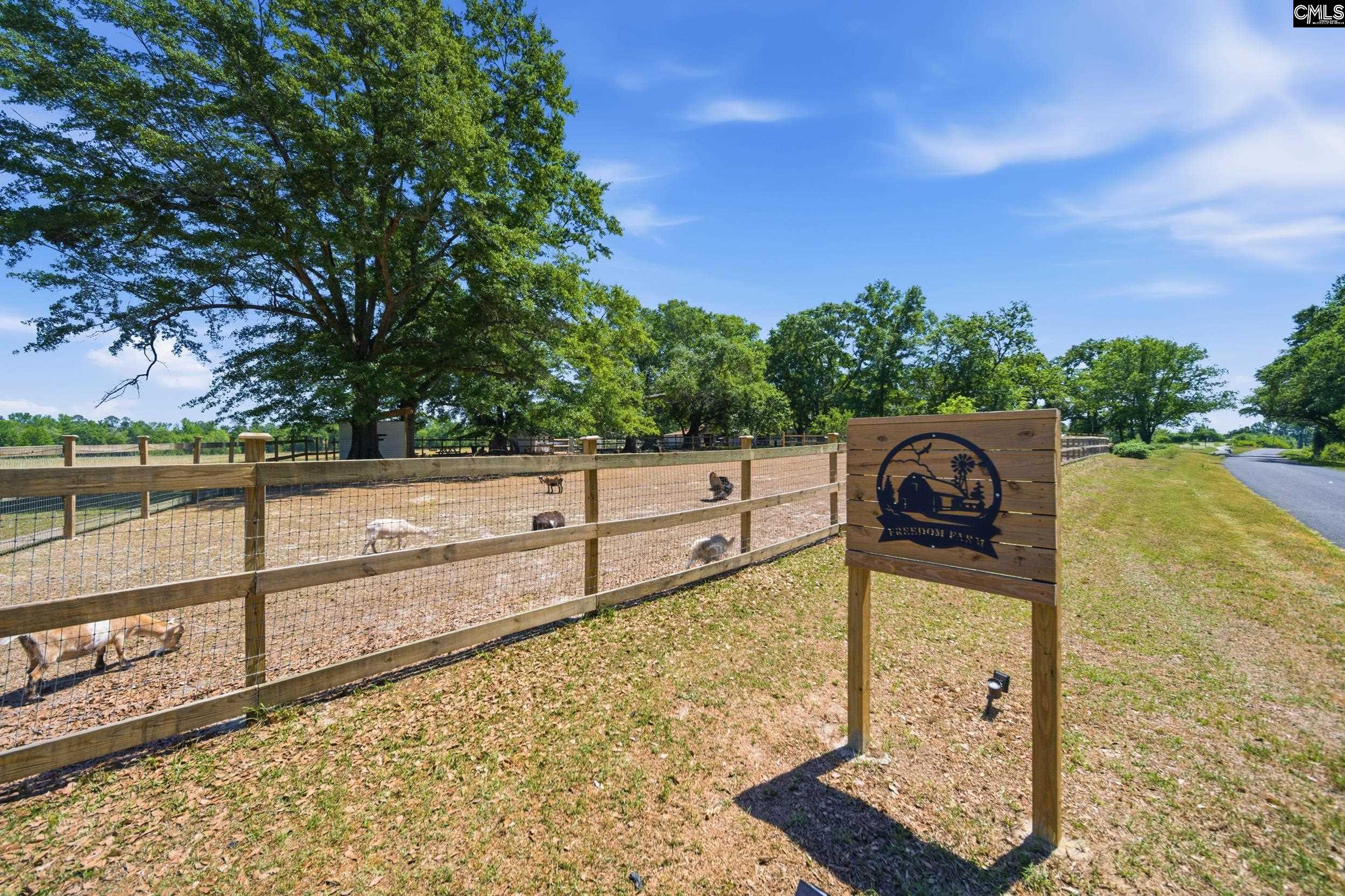 695 Hartzog Road Barnwell, SC 29812 - Photo 30 of 75