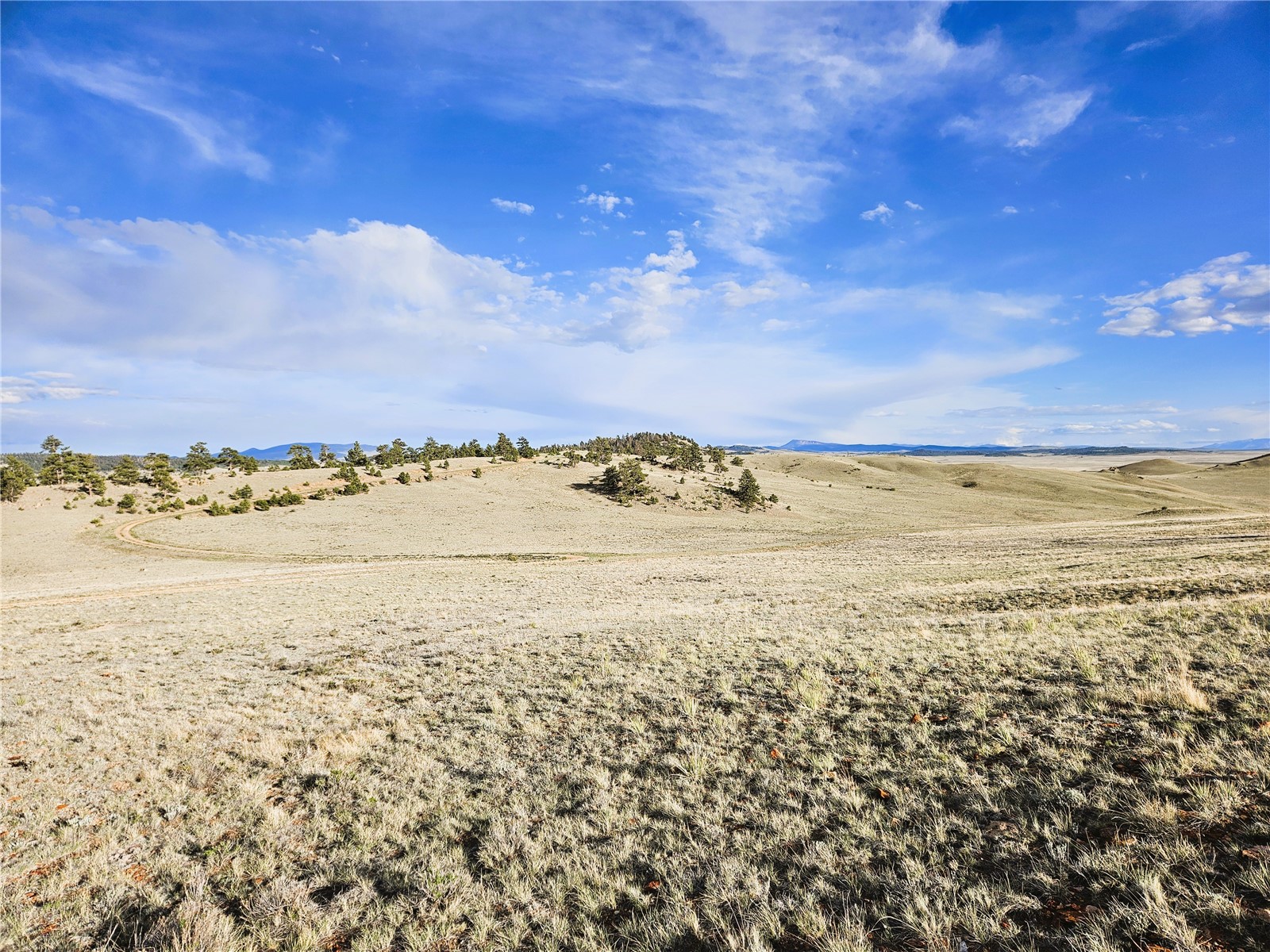 Pcs#24142 Antero Road Hartsel, CO 80449 - Photo 8 of 50