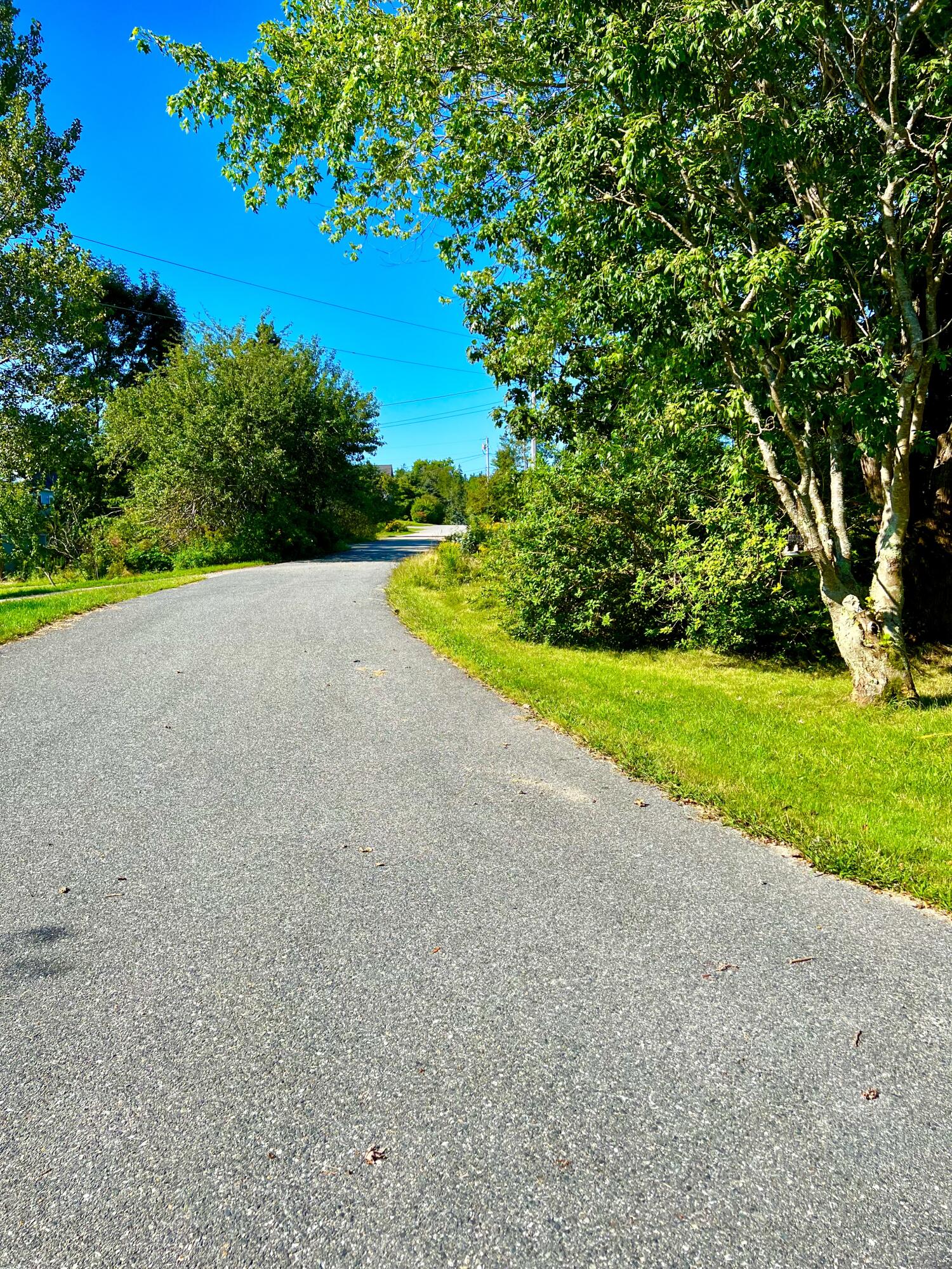 42 Crockett Point Road Bernard, ME 04612 - Photo 51 of 52 Driveway