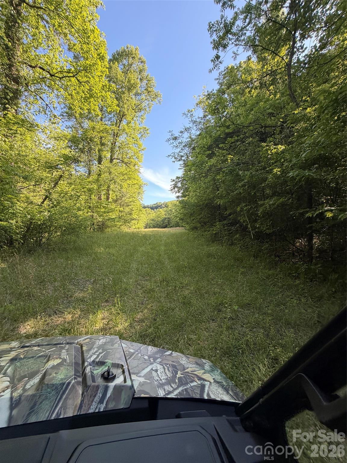 Lot 8 Parker Padgett Road Old Fort, NC 28762 - Photo 5 of 9