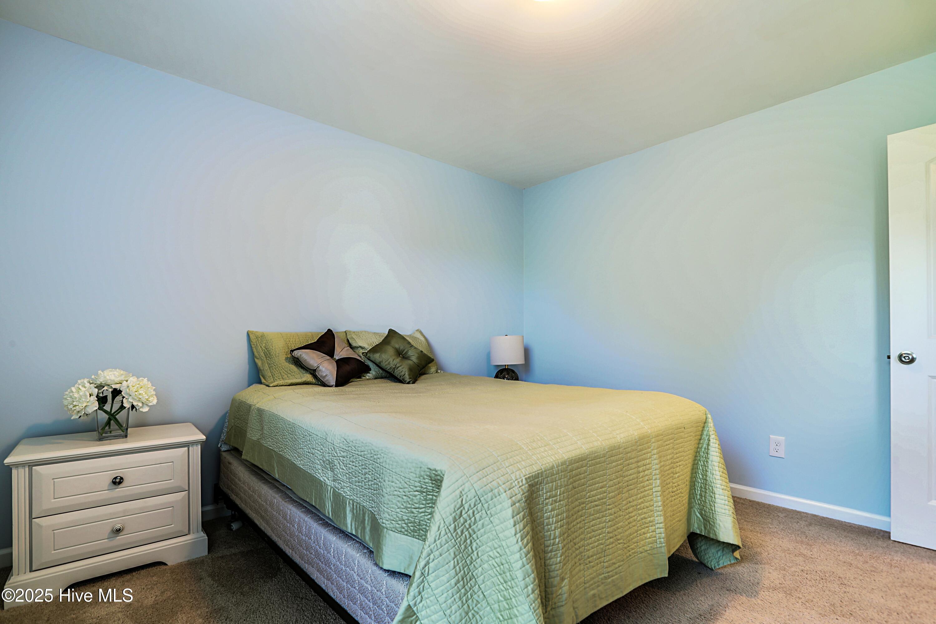 1487 Round Ridge Road Southeast Bolivia, NC 28422 - Photo 33 of 47 HP3V6A0172