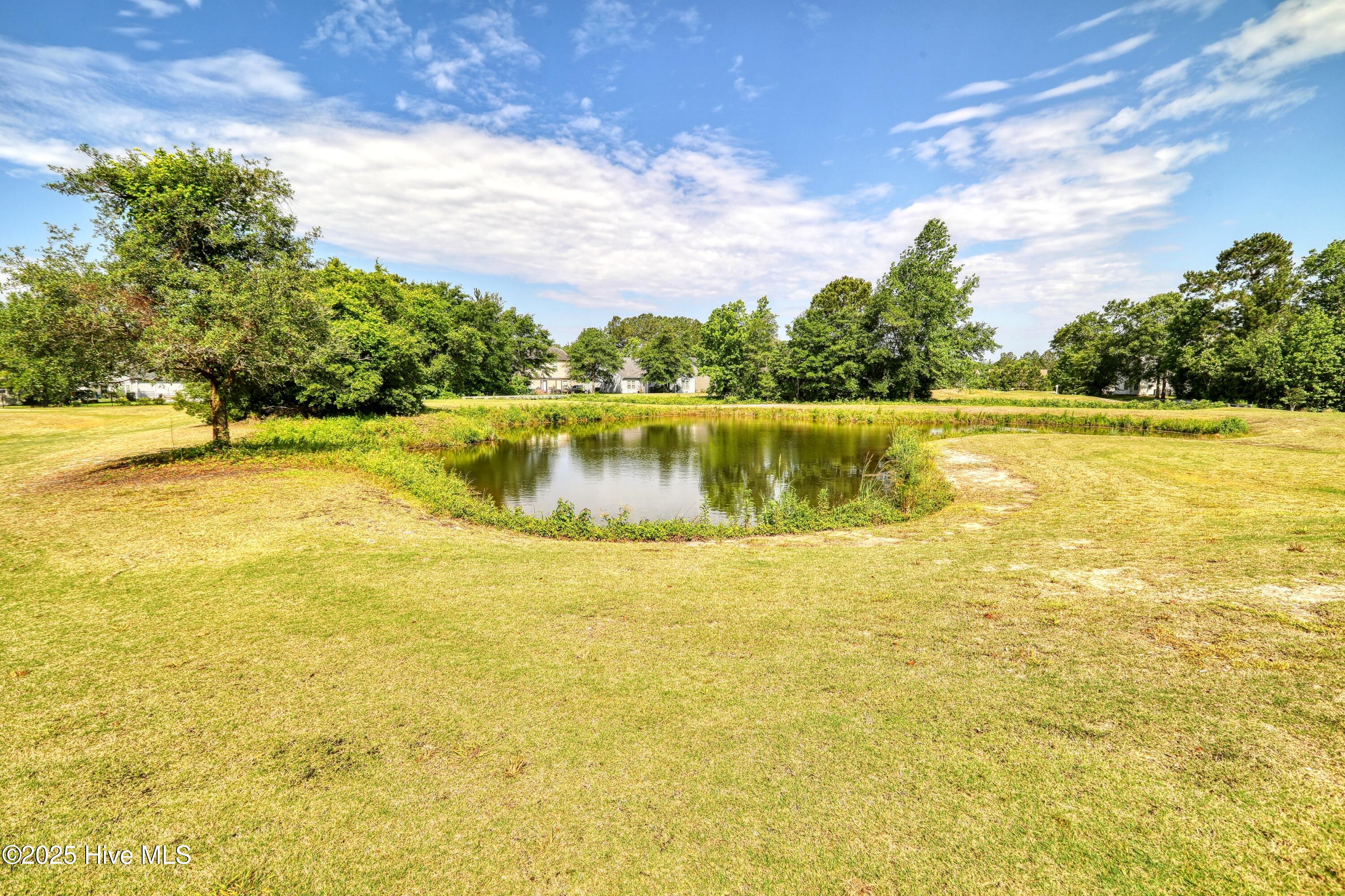 1487 Round Ridge Road Southeast Bolivia, NC 28422 - Photo 40 of 47 HPB_3V6A0229y