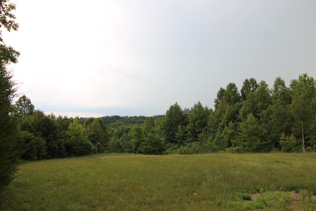 Crymes Road, Unit 13A Victoria, VA 23974 - Photo 8 of 9 Gallery Image 8