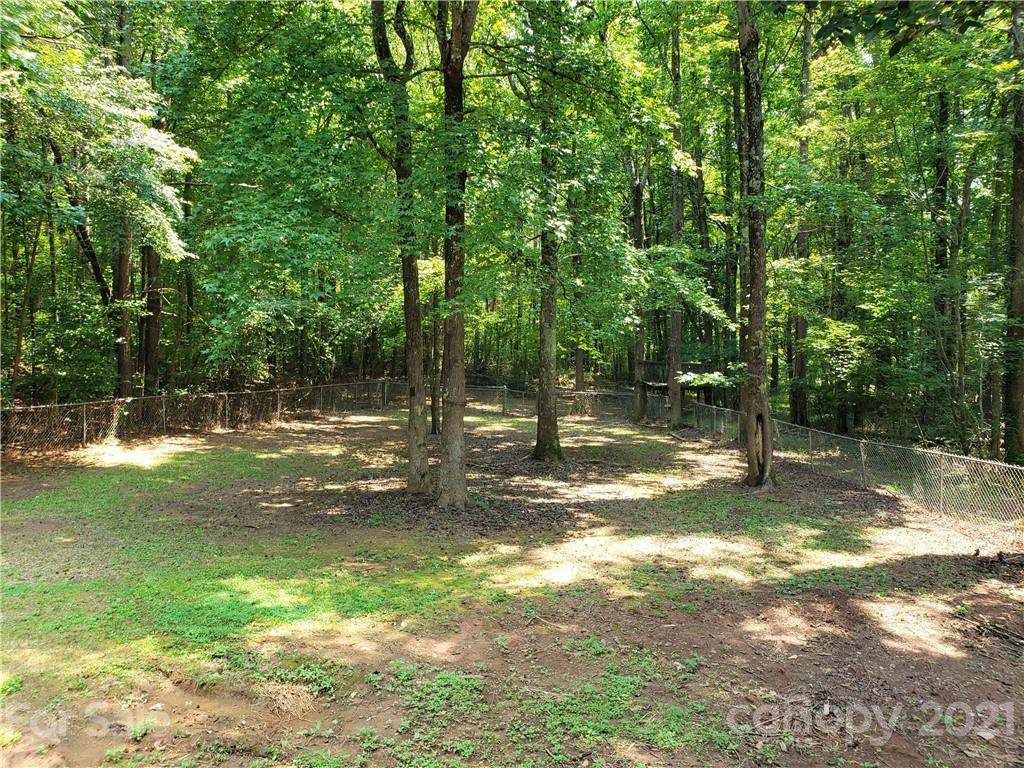 2012 State Rd S-46-168 York, SC 29745 - Photo 26 of 48 a view of a yard with a tree