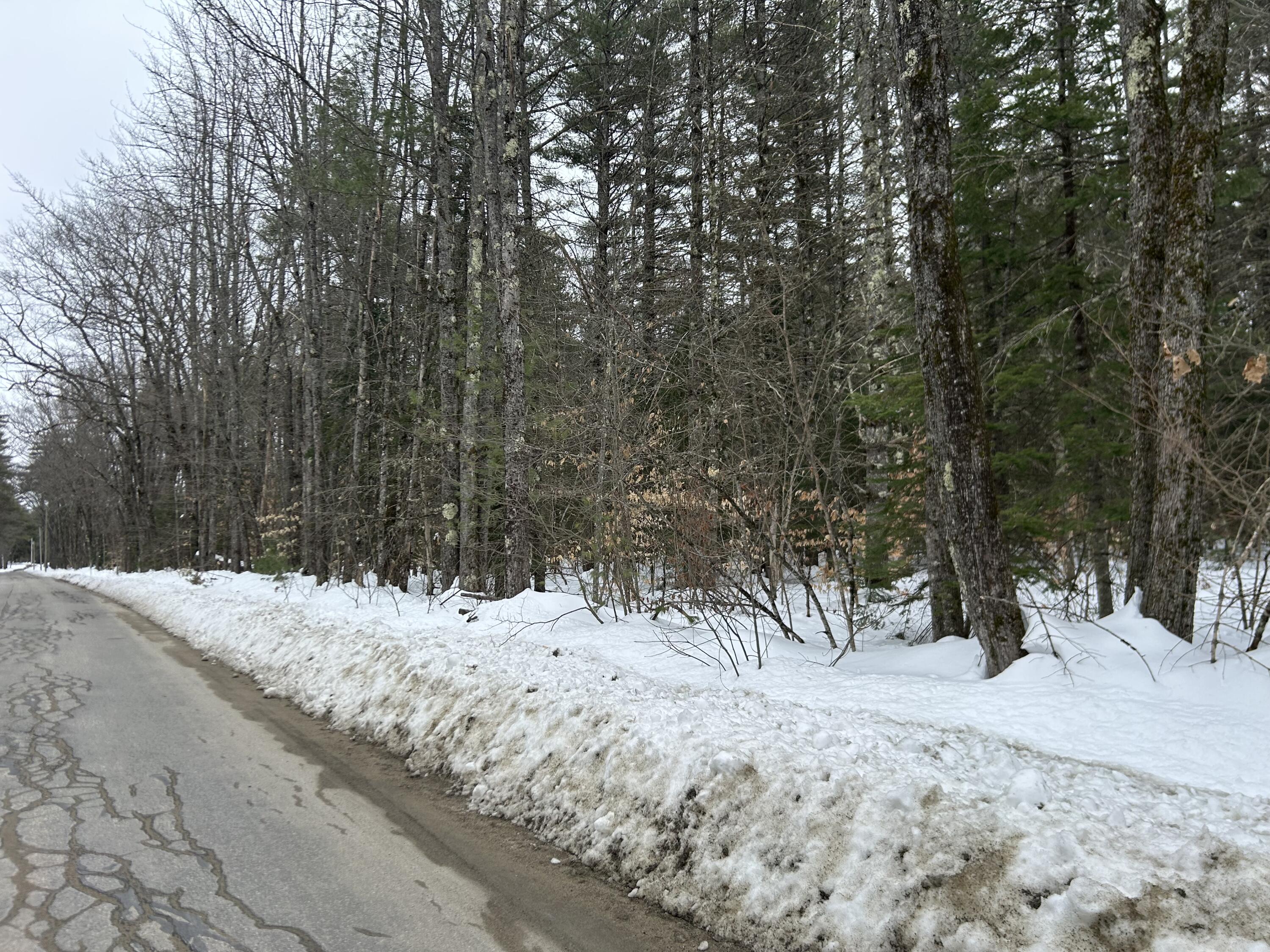 M16-l7-002 Hemlock Bridge Road Fryeburg, ME 04037 - Photo 3 of 3 IMG_9494