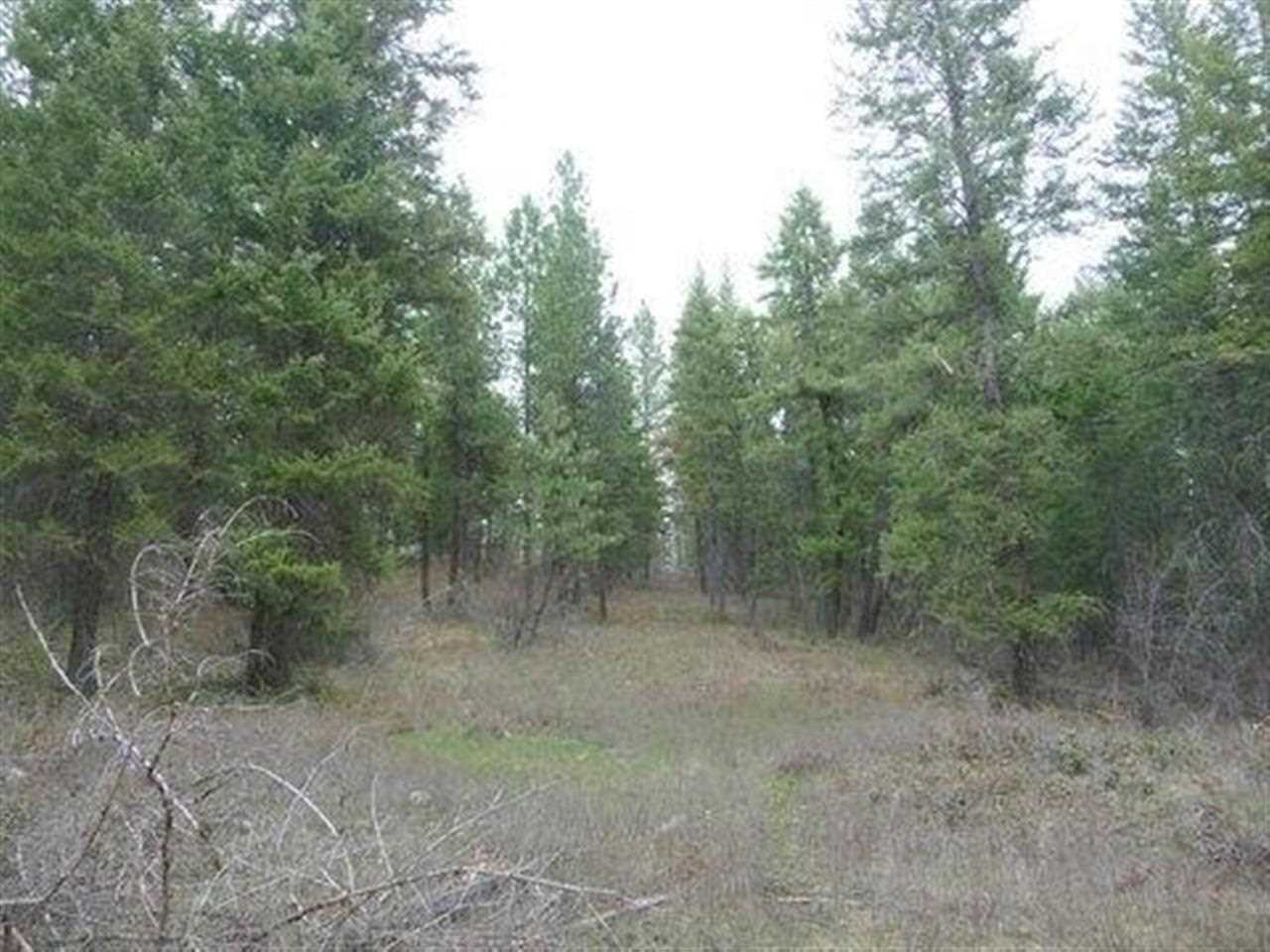3362 Thompson (a) Rd Valley Valley, WA 99181 - Photo 14 of 17 Gallery Image 14