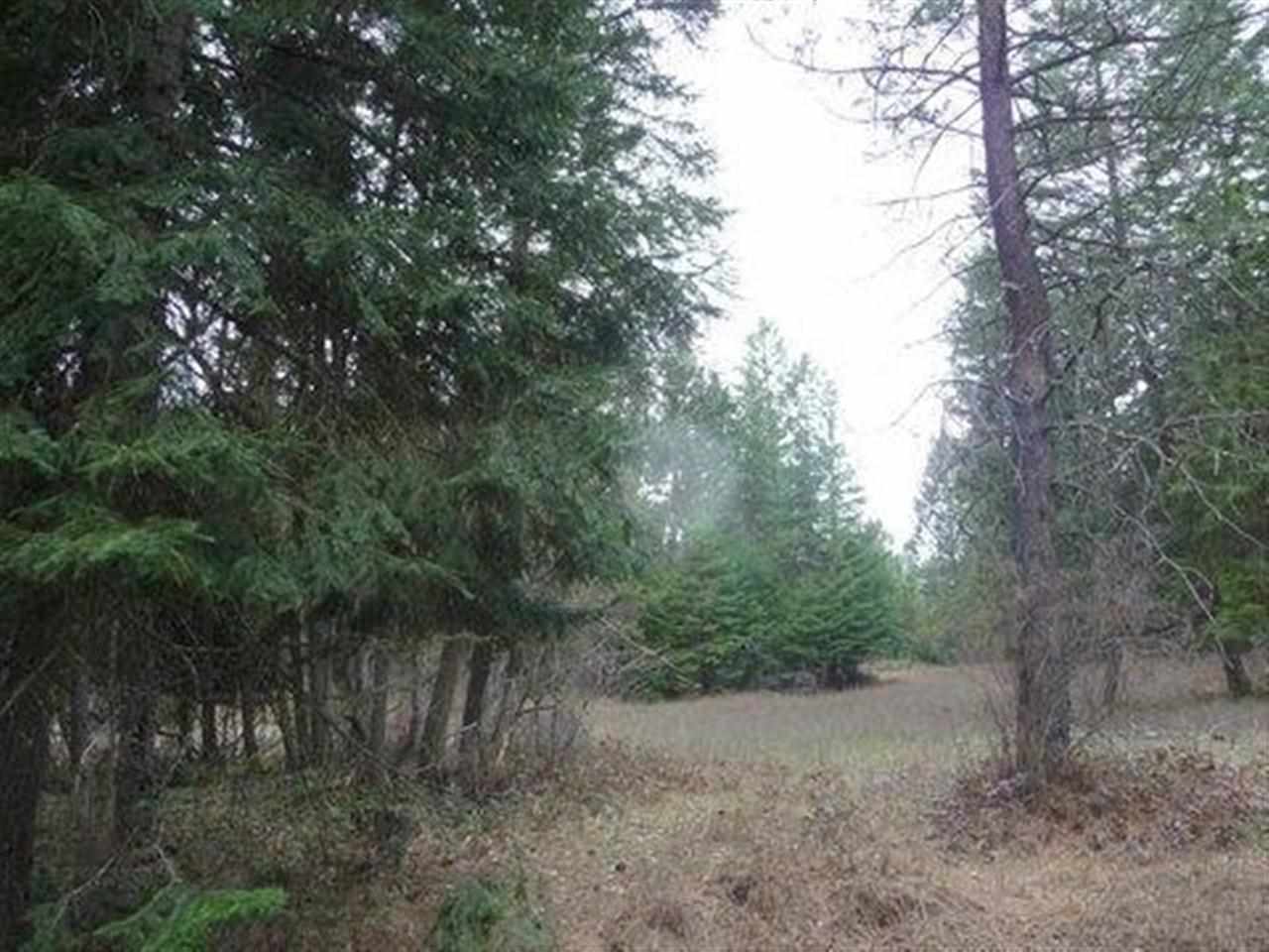 3362 Thompson (a) Rd Valley Valley, WA 99181 - Photo 10 of 17 Gallery Image 10