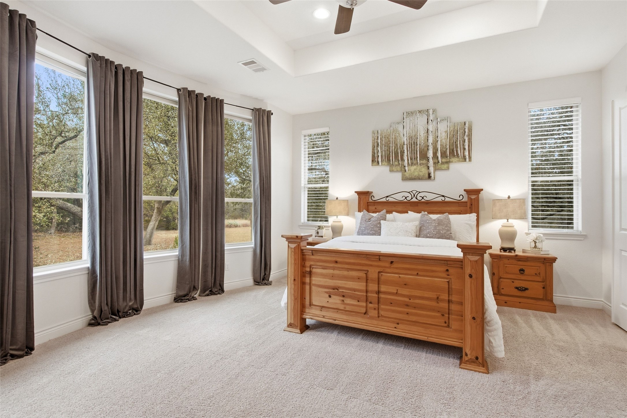 23315 Nameless Road Leander, TX 78641 - Photo 14 of 40 Main Home - Owners Suite Downstairs