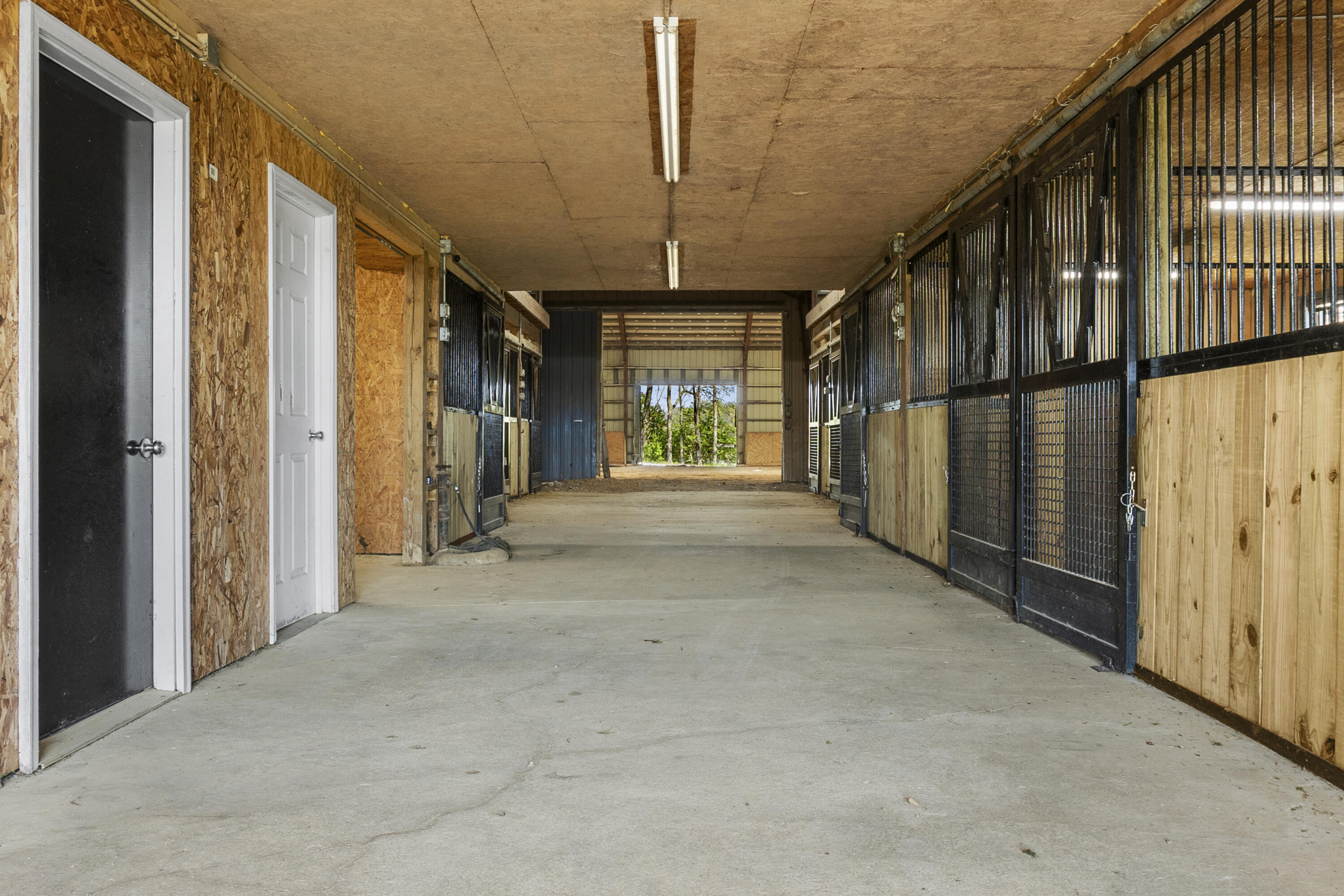 583 College Road Paris, KY 40361 - Photo 28 of 39 I82A9057