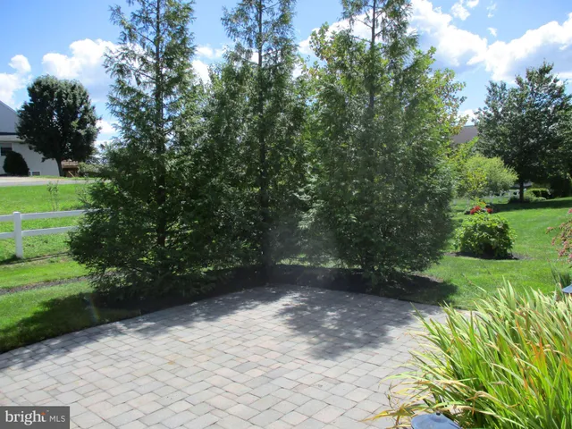 a view of a yard with plants and trees