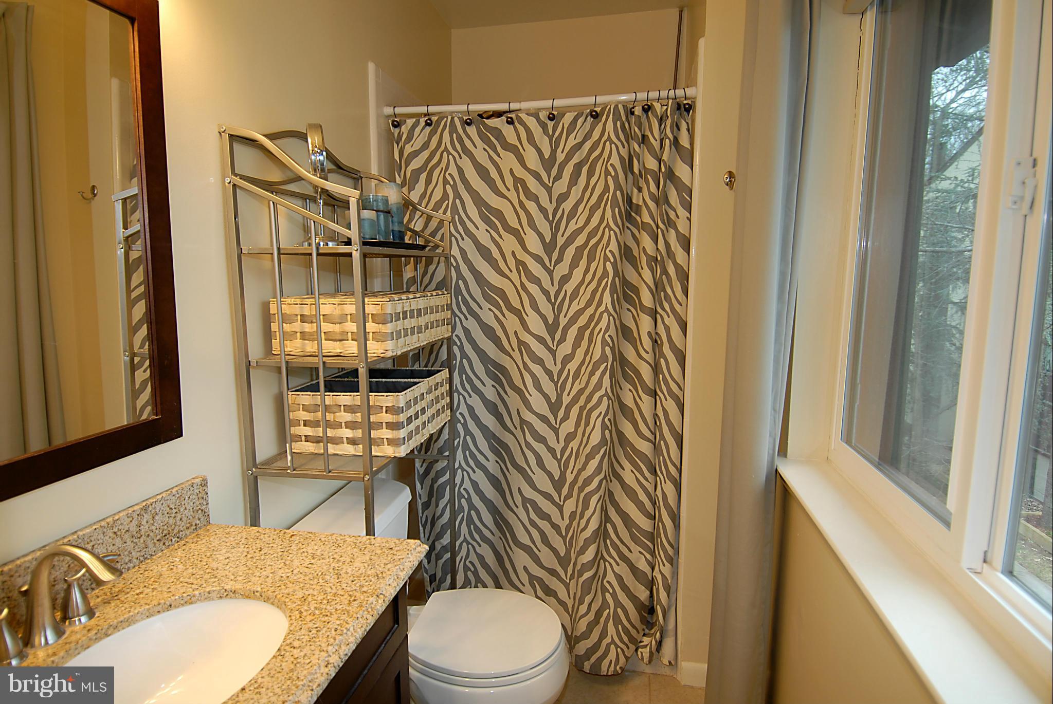 11928 Barrel Cooper Court Reston, VA 20191 - Photo 17 of 30 Bath (Master)