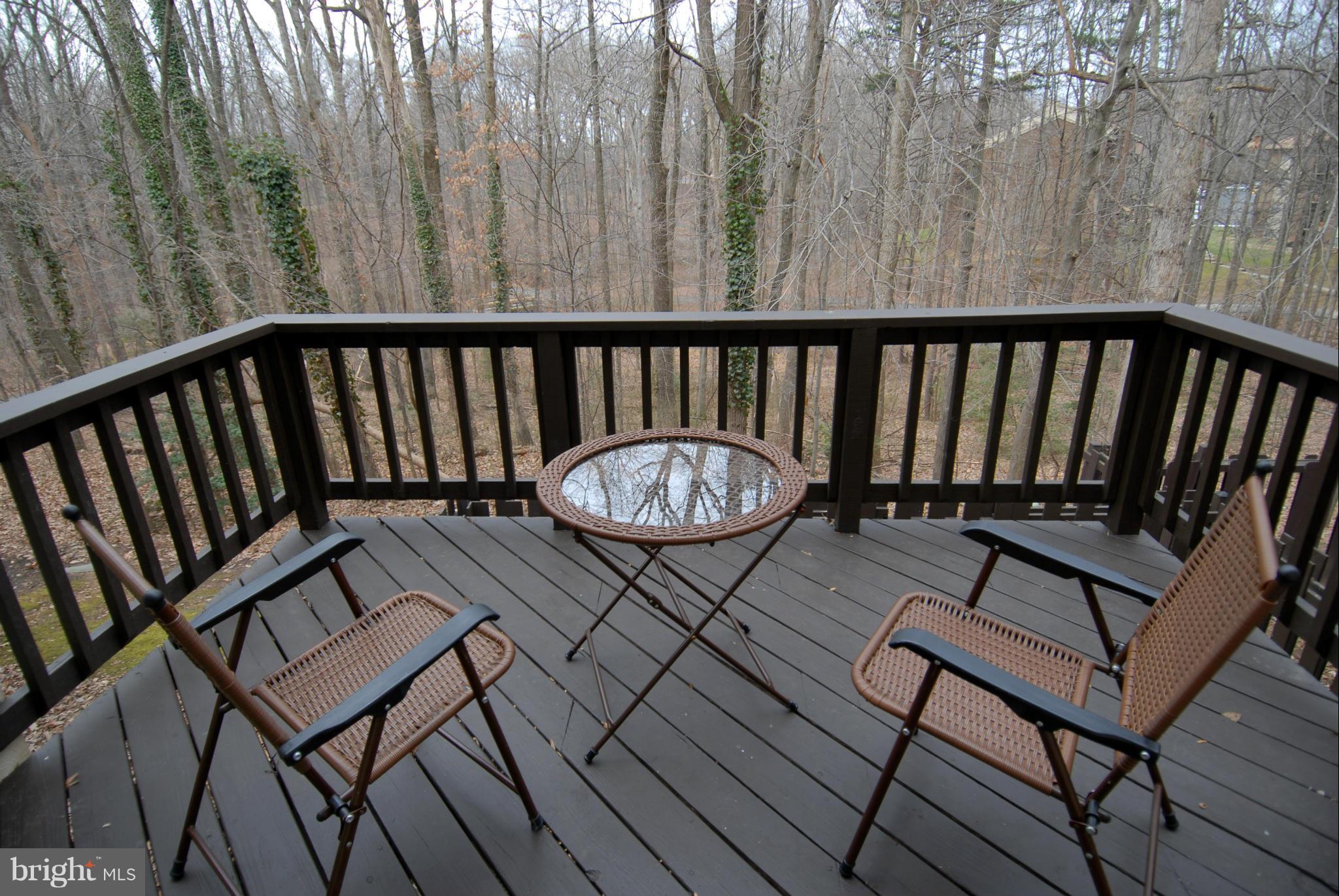 11928 Barrel Cooper Court Reston, VA 20191 - Photo 26 of 30 Exterior (Rear)