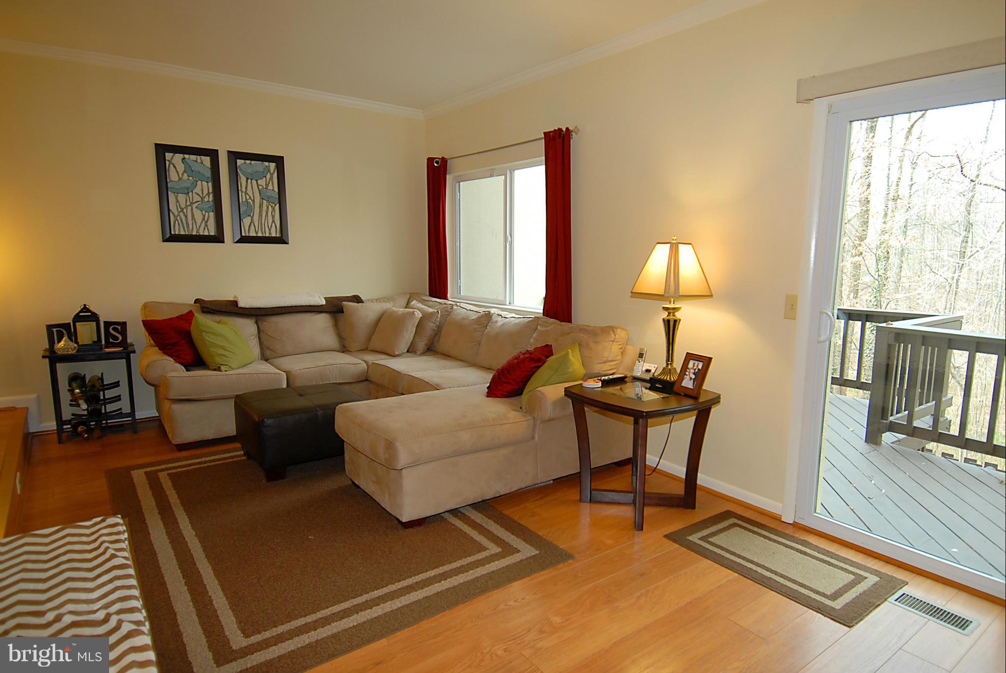 11928 Barrel Cooper Court Reston, VA 20191 - Photo 10 of 30 Family Room