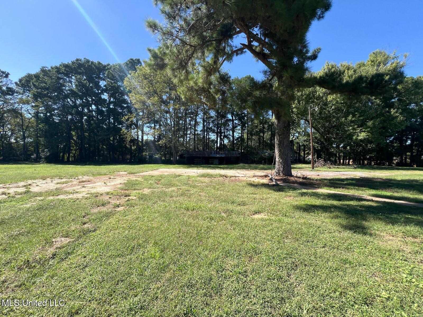 3821 Nail Road Horn Lake, MS 38637 - Photo 46 of 56 35a59f5a-65a4-4cea-a90b-2e49bf2cd1b8