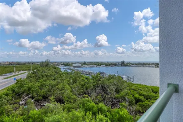 a view of a lake in middle of forest