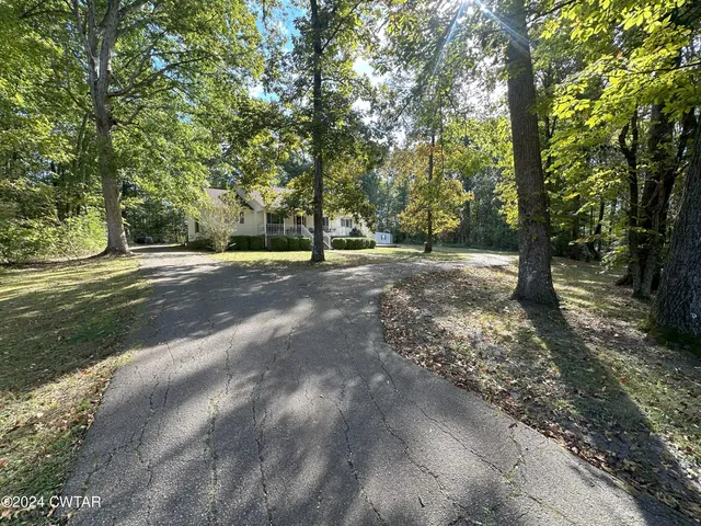 a view of a tree in the middle of a yard