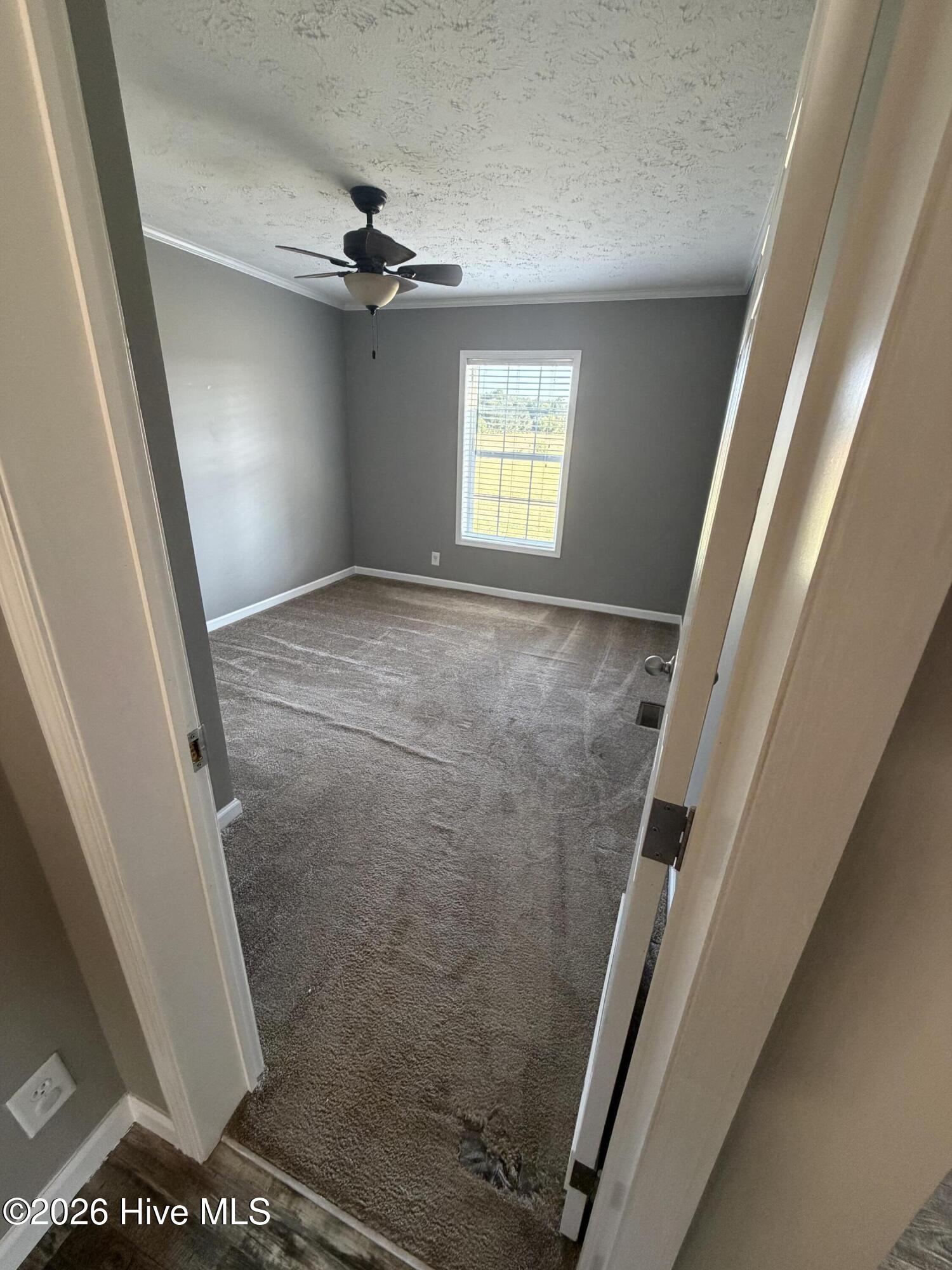 441 Mrs Tates Road Whiteville, NC 28472 - Photo 25 of 33 IMG_6923 (1)