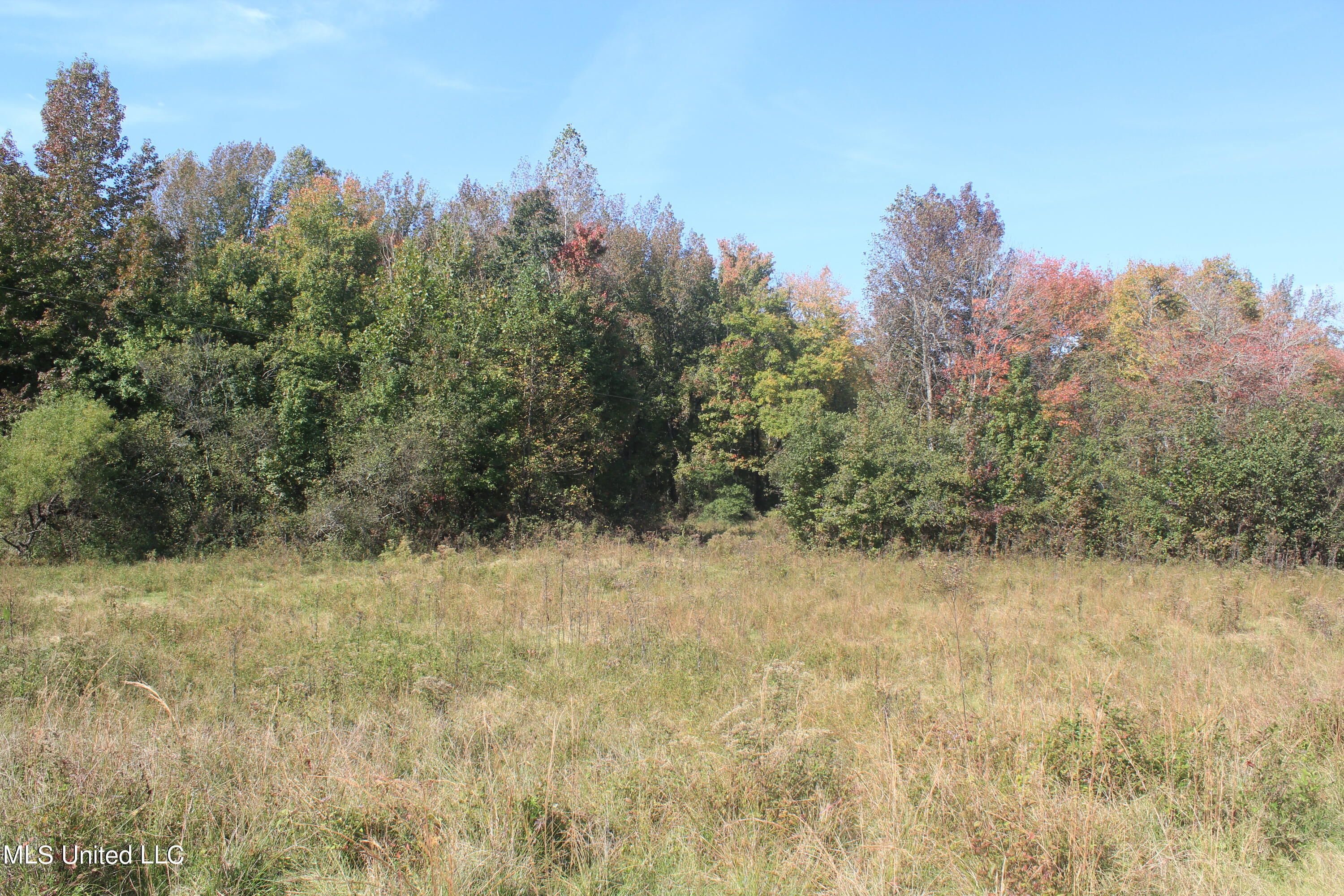 1651 Bethlehem Road Waterford, MS 38685 - Photo 1 of 40 189 acres